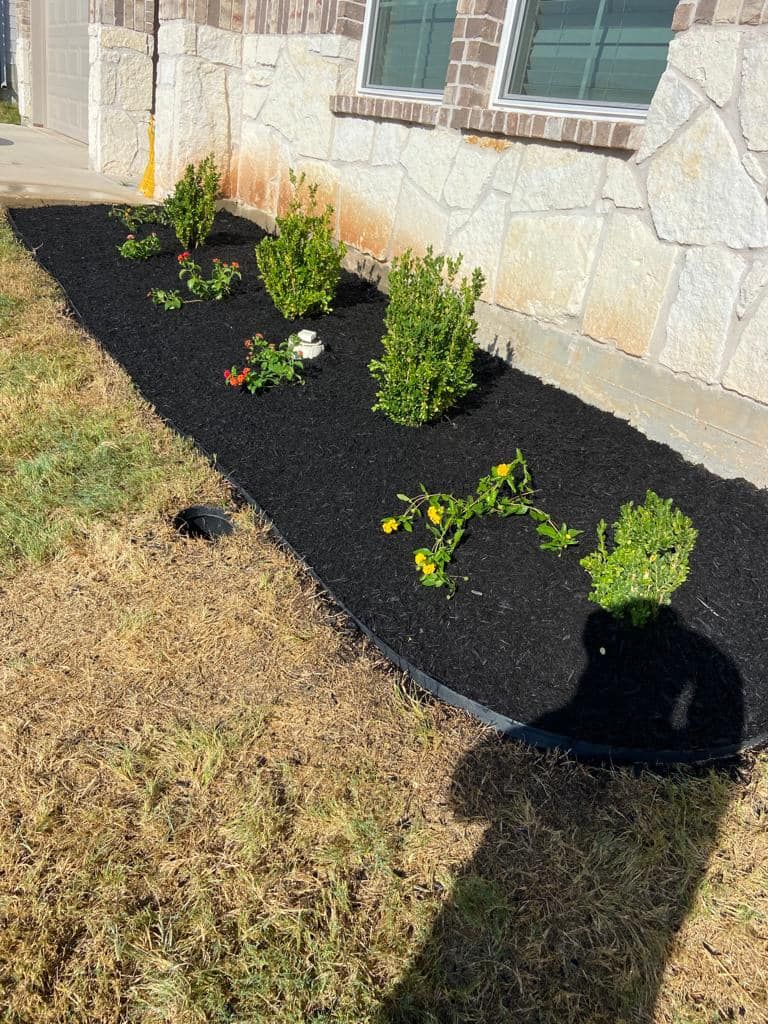  for Pina Landscaping in Austin, TX