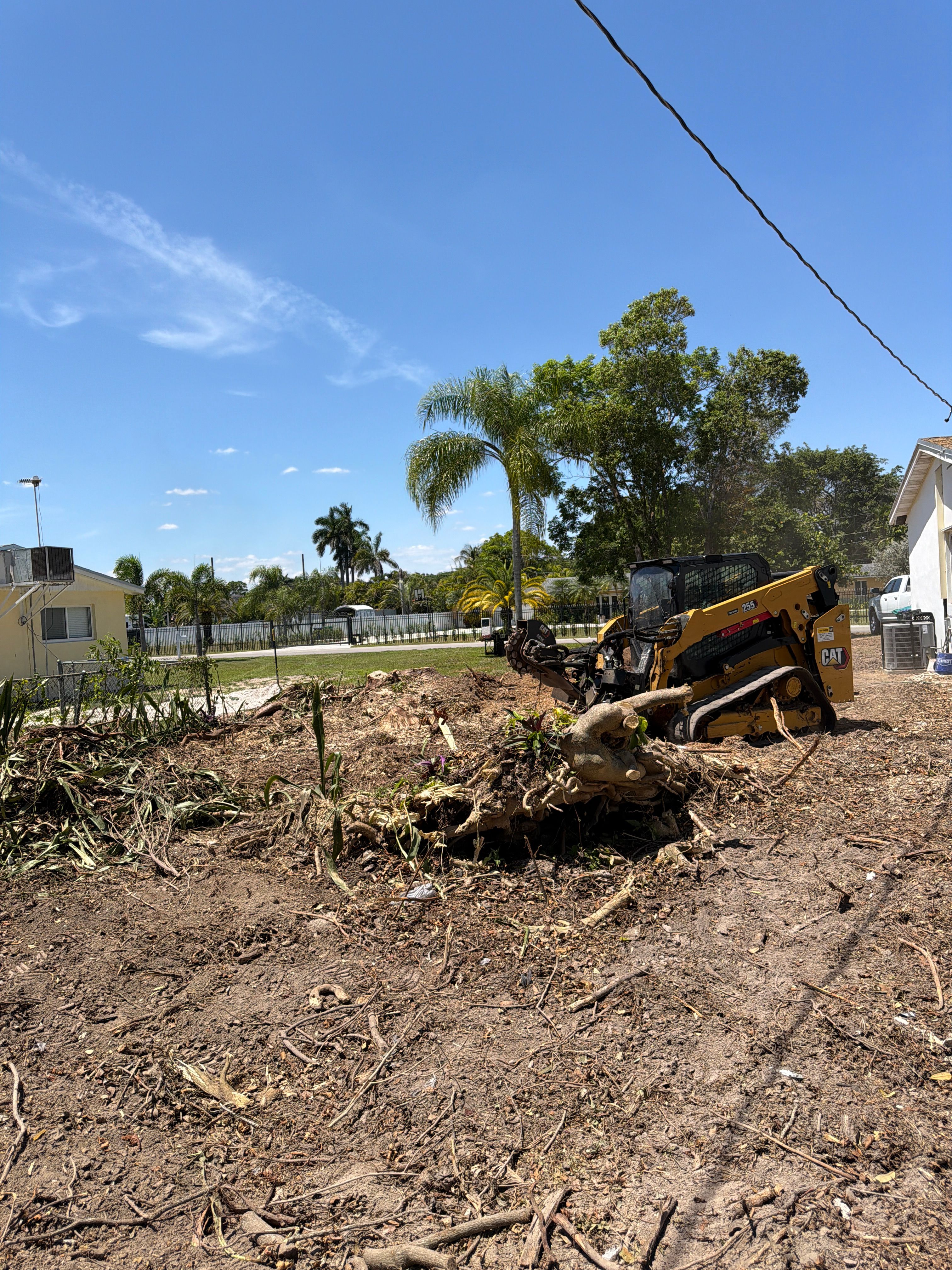  for Nurry Tree Services in Miami, FL
