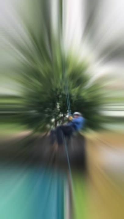 All Photos for Blu-J Tree Care in Arlington, TX