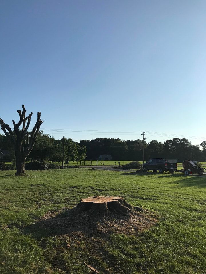  for Reagan & Sons Tree Service in Dandridge, TN