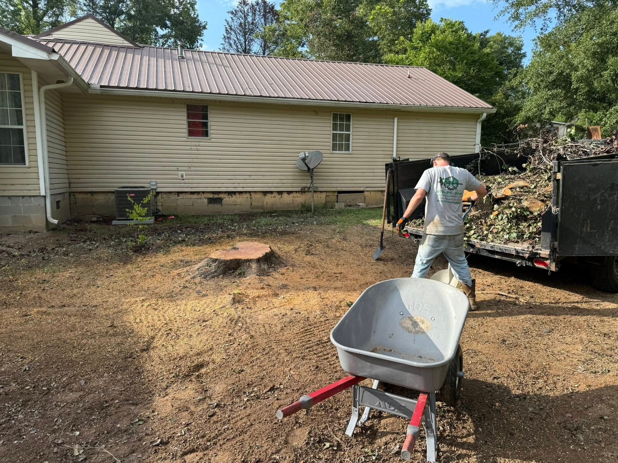  for T N L - Tree and Land Service in Reynolds, GA