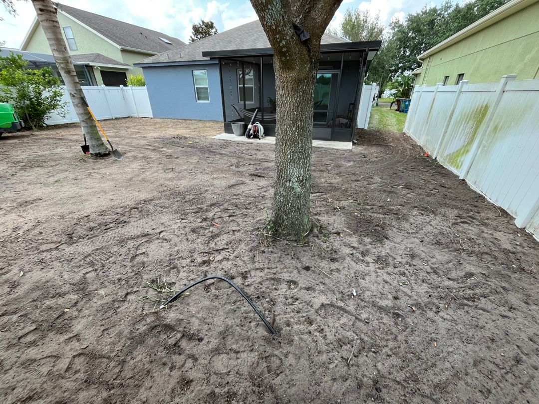 Tree Services for Ludlows Services in Davenport, FL