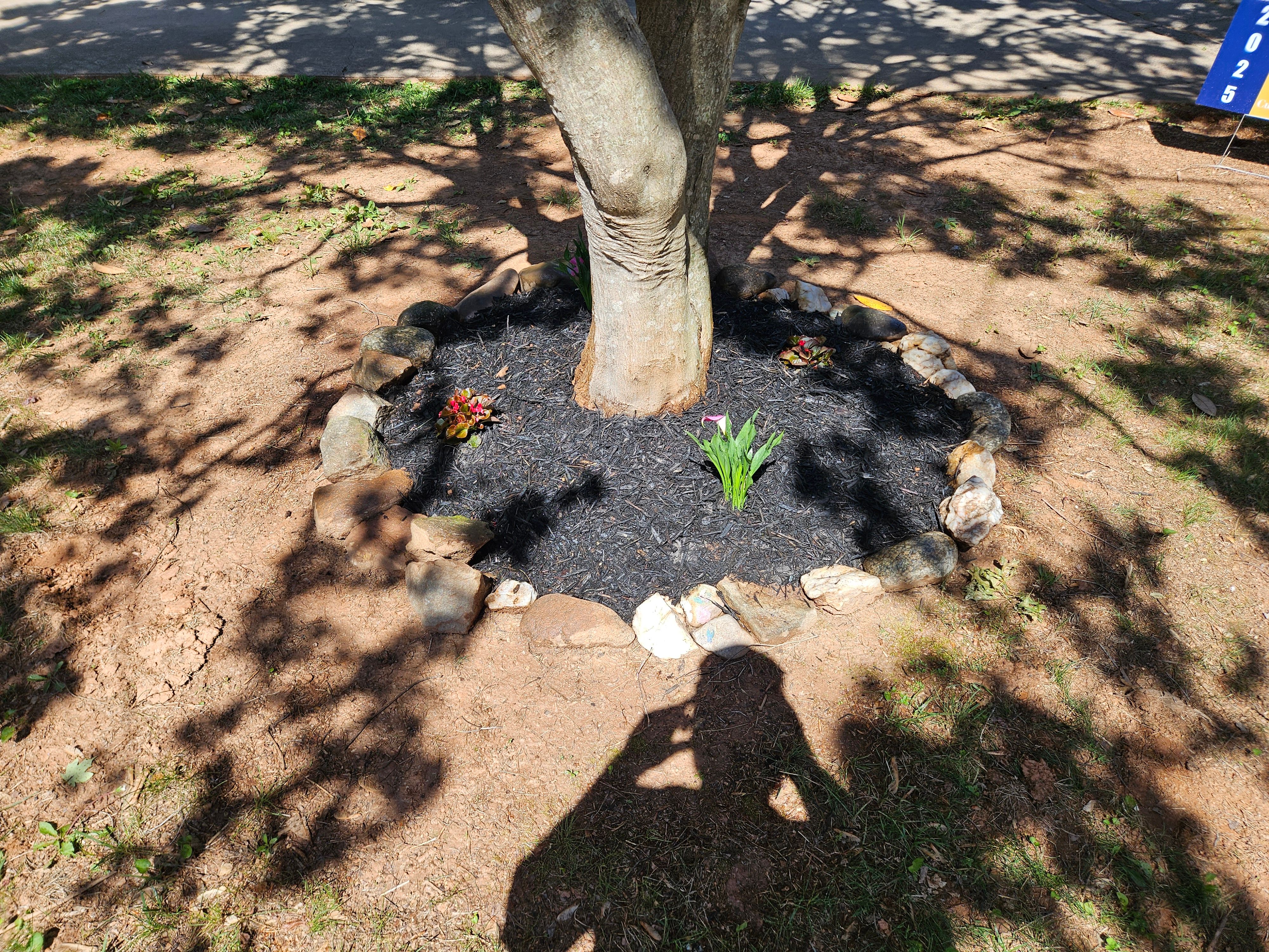 All Photos for Browns Grounds in Culpeper, VA