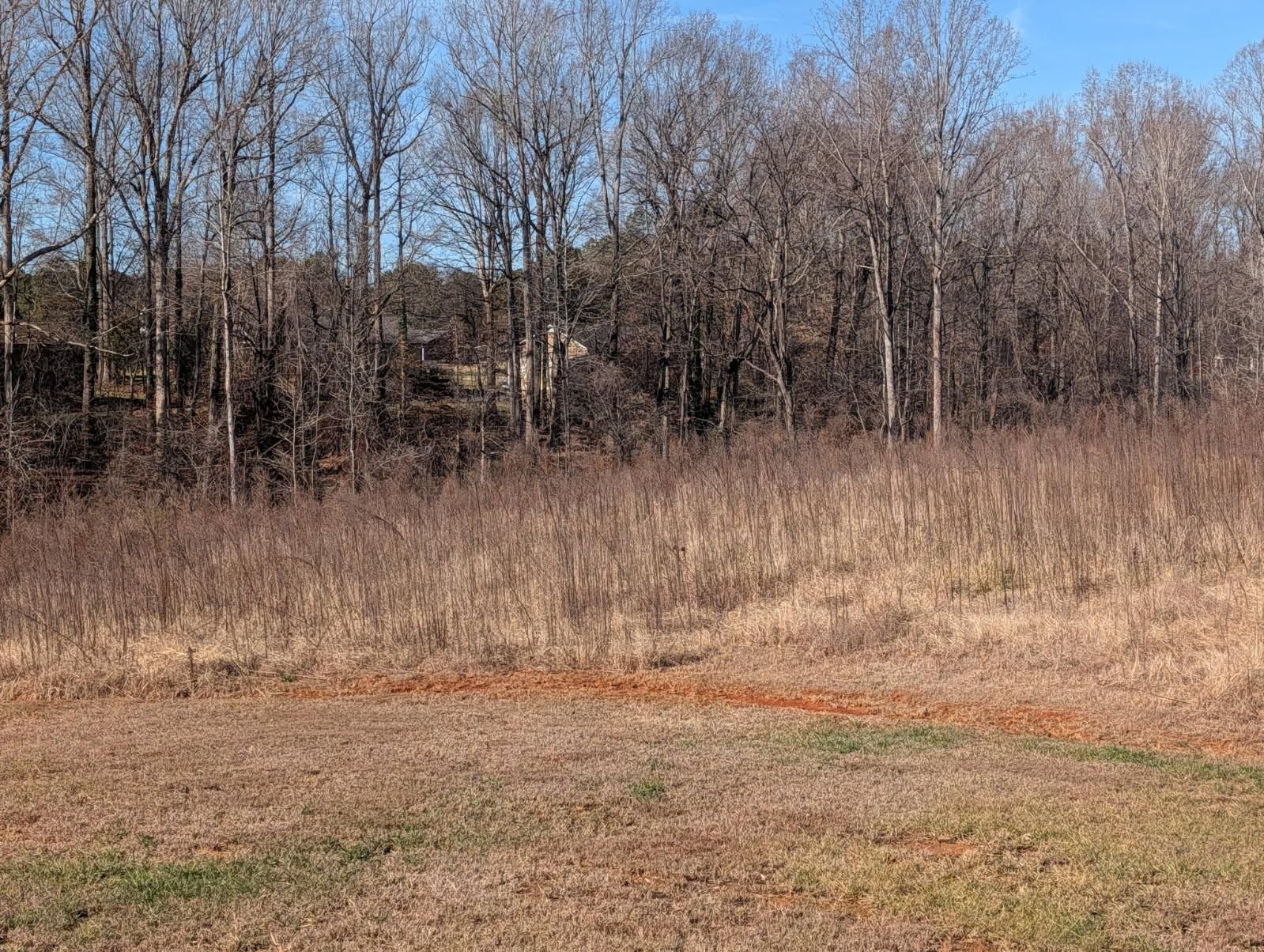  for Piedmont Lawn and Landscaping in Lexington, NC