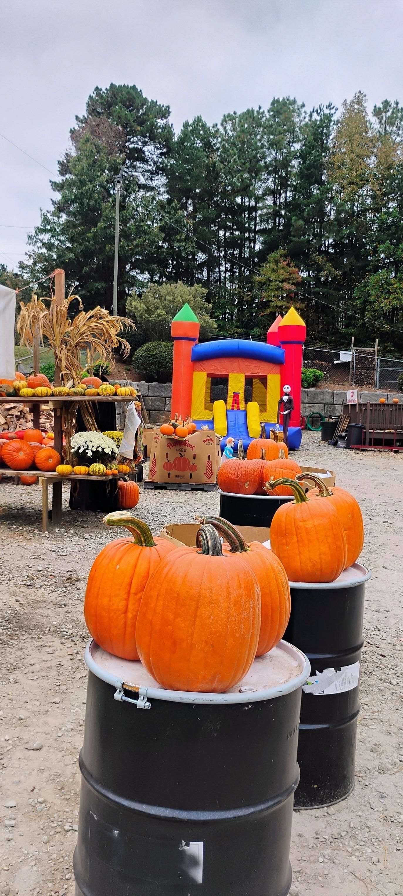  for Rutledge Contracting LLC in Hazel Green, AL