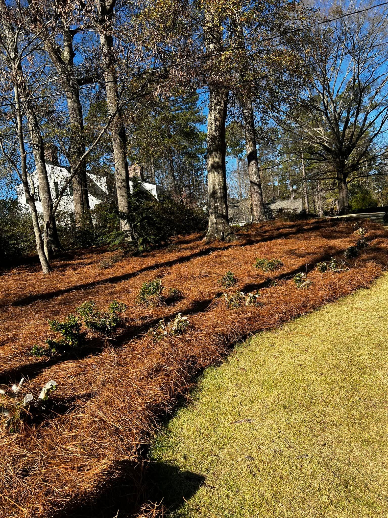  for Reg's Lawn Care Services in LaGrange, GA