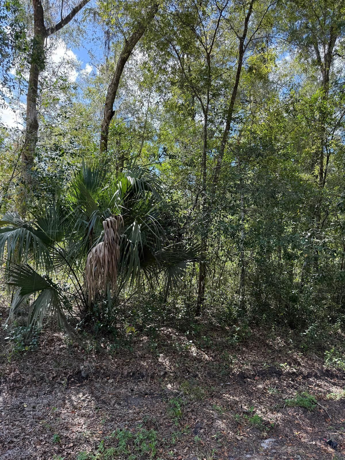  for J & E Land Clearing, LLC. in Dunnellon, FL