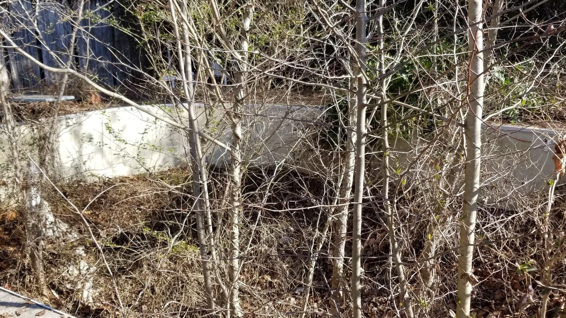  for Platinum Outdoor Services LLC in Conover, NC