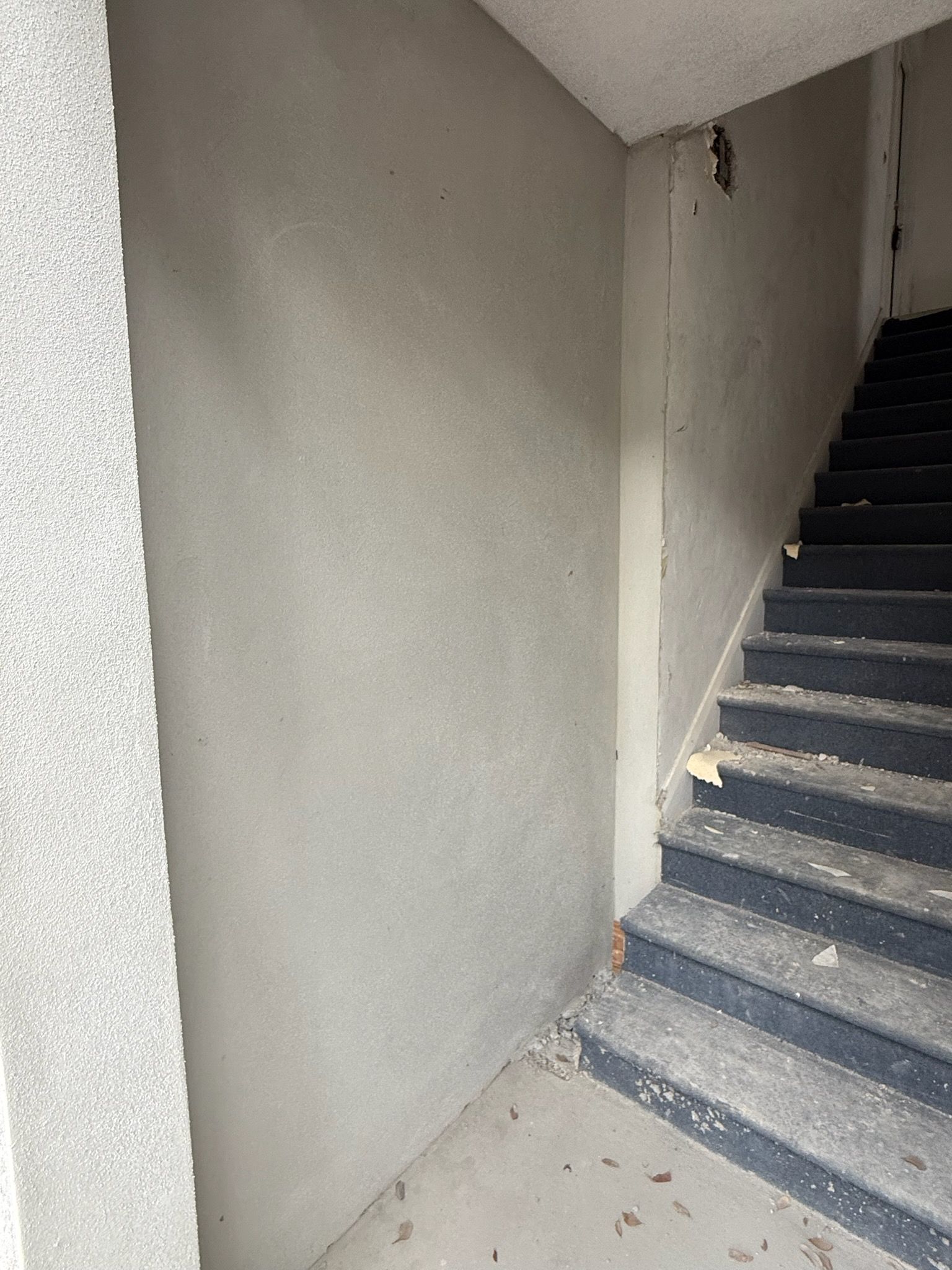  for Escorpio Painting in Tampa, FL