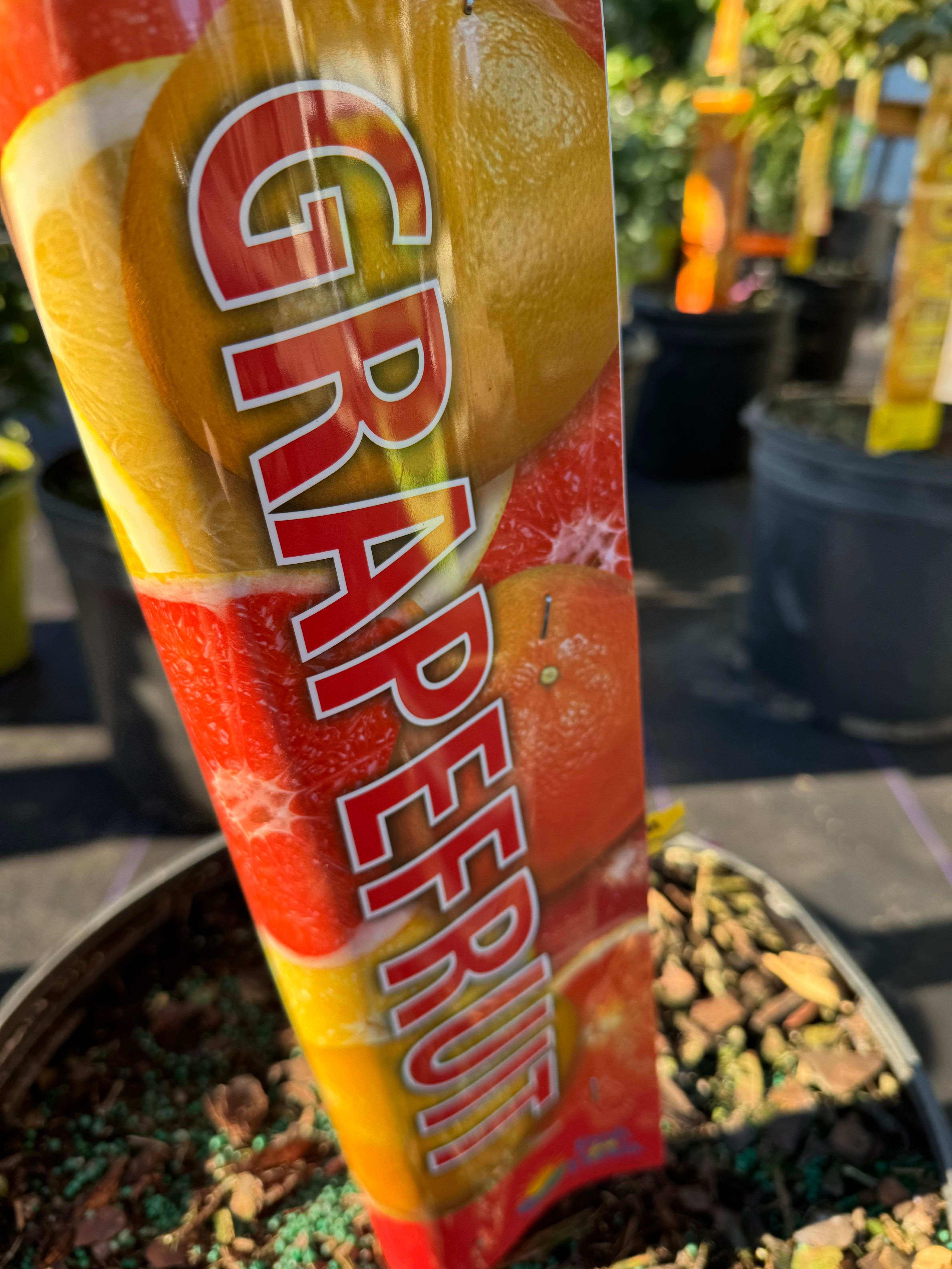  for Southern Roots Tree Farm in Crystal River, FL