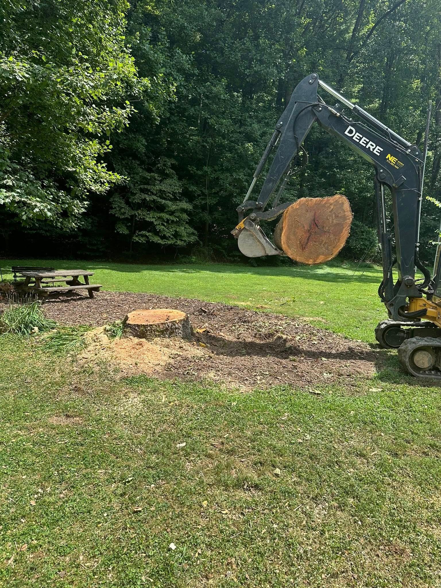  for Ramirez Tree Care in Elkin, NC