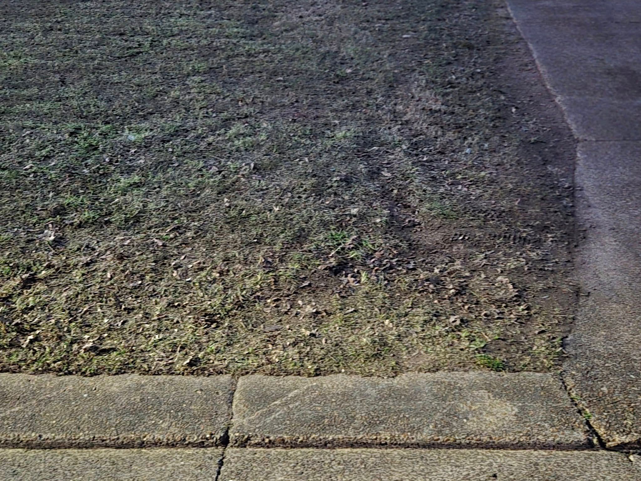  for The DUFF LAWN Service in Houston, Texas
