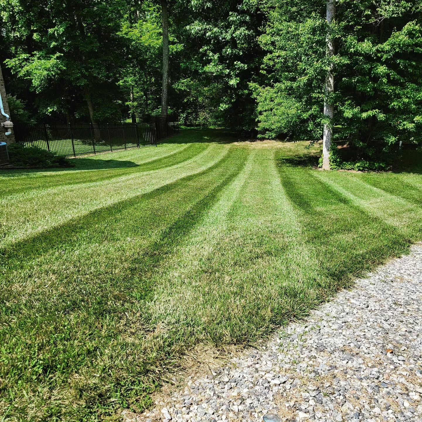  for Piedmont Lawn and Landscaping in Lexington, NC