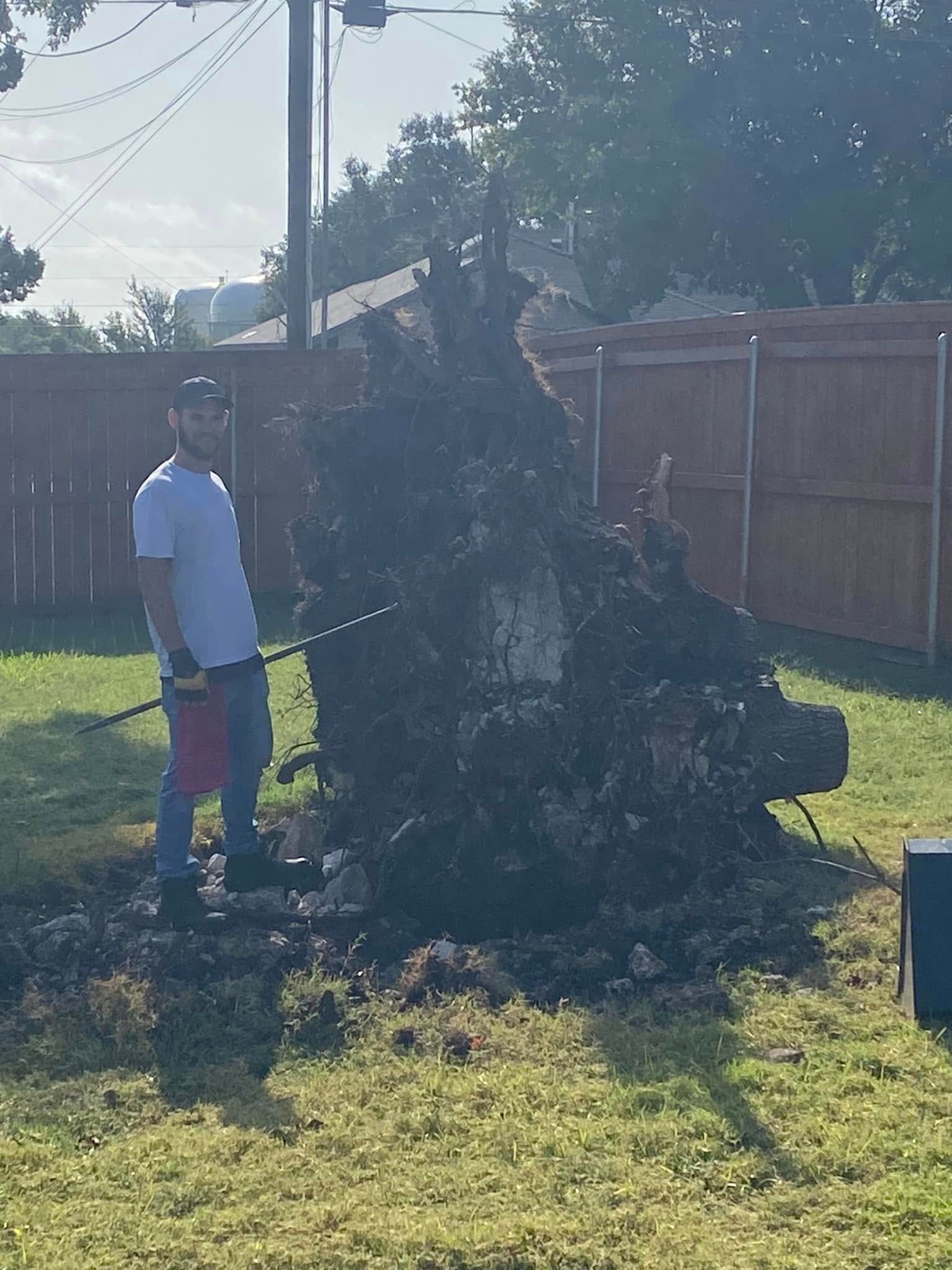  for West Stump Grinding in Temple, TX