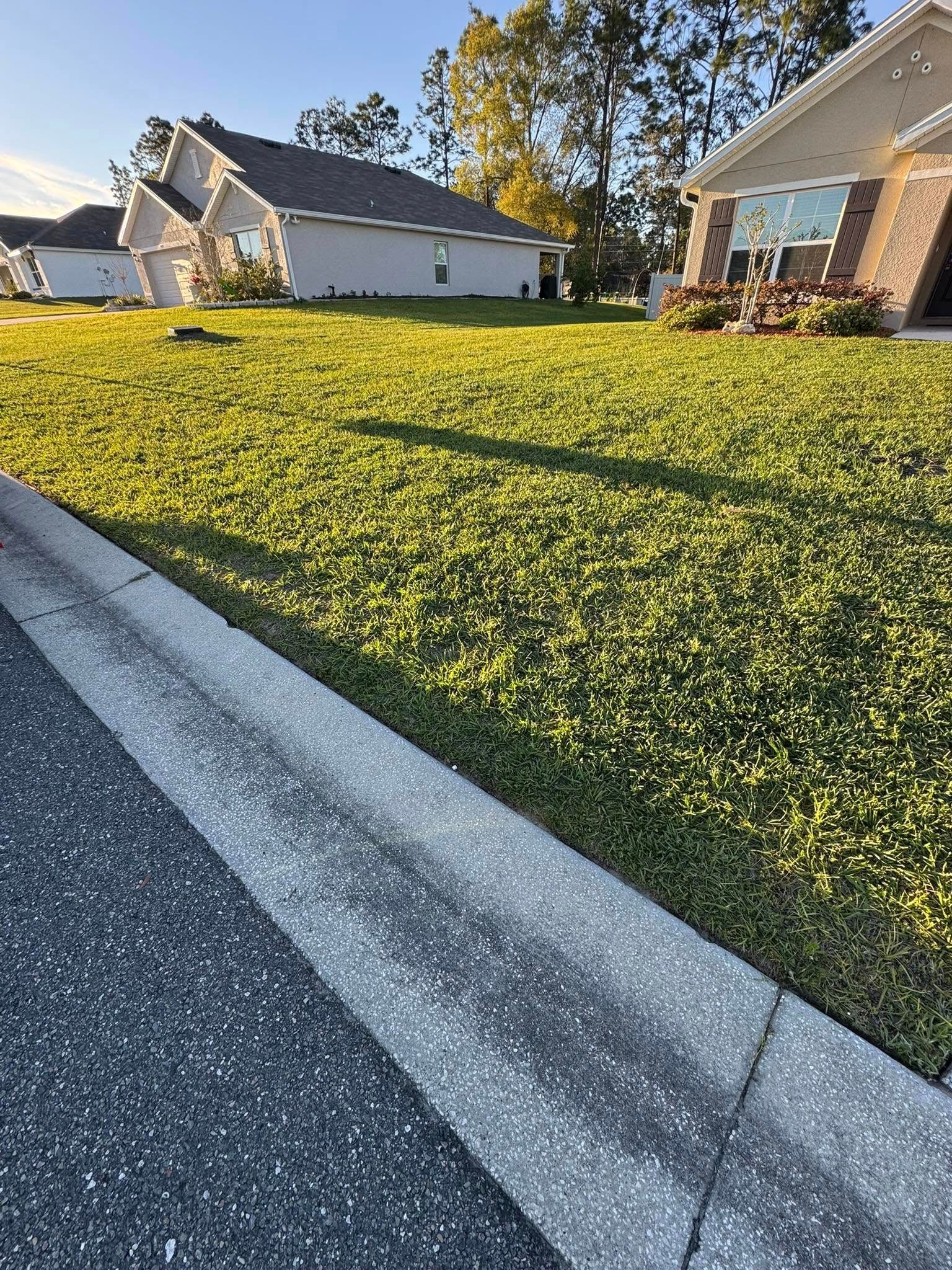 All Photos for Young's Lawn Services LLC in Ocala, FL