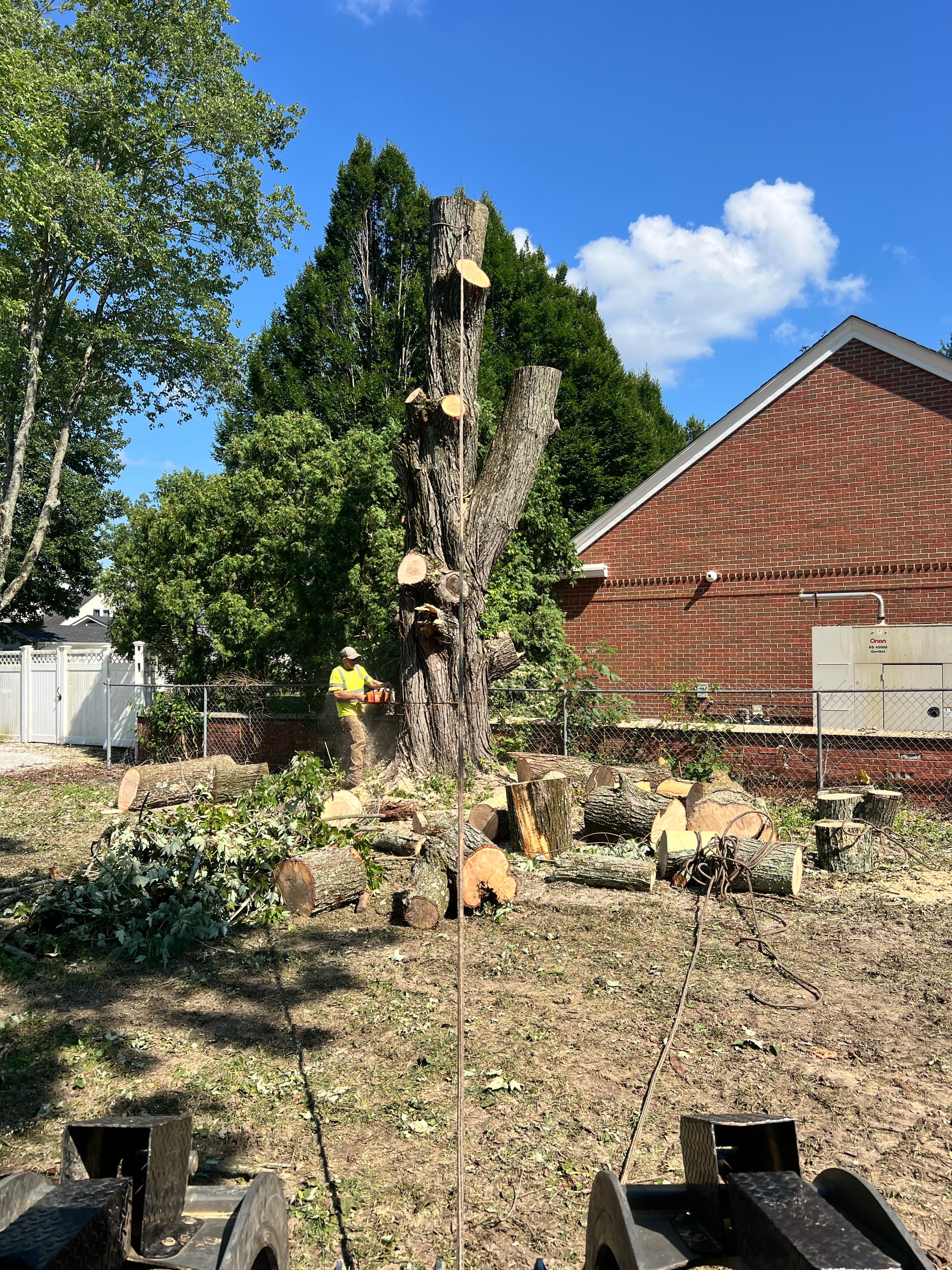 All Photos for Kadin’s Tree Service in North Vernon, IN