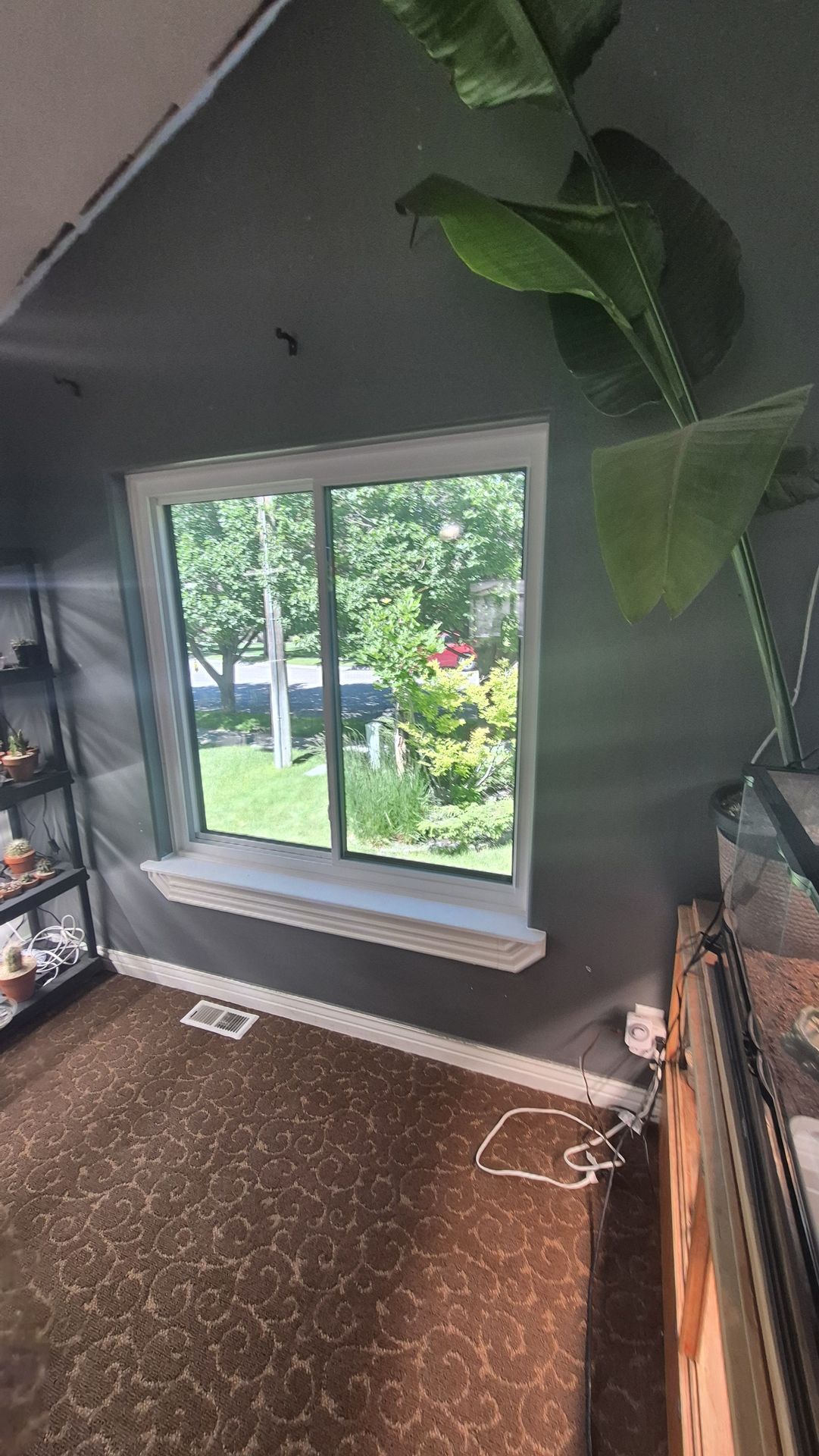  for Vivid Windows in Centerville, UT