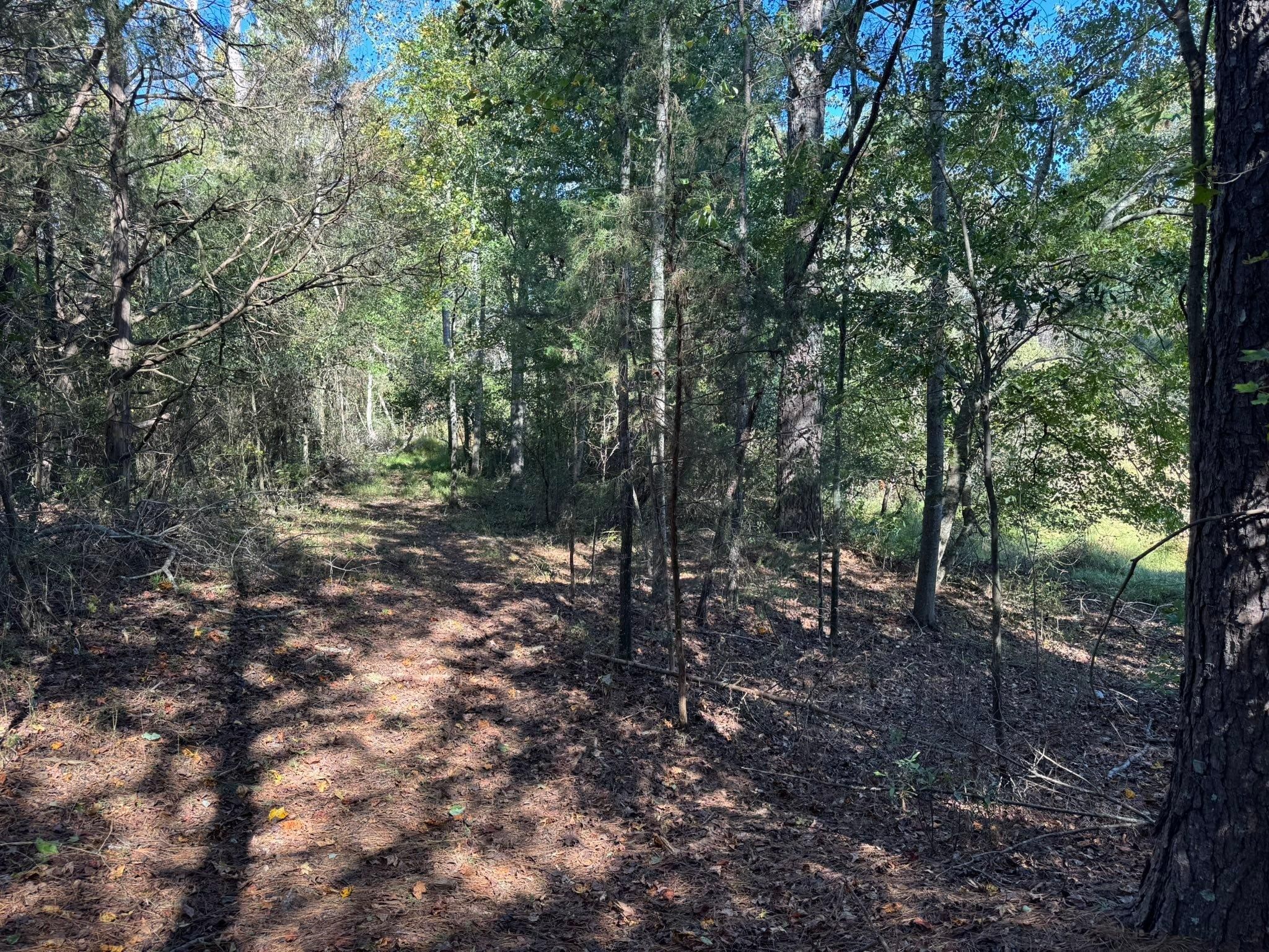 for KLNAX Enterprises in Newton County, GA