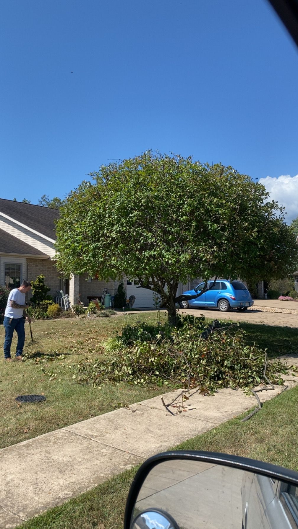 All Photos for Gray's Tree Service Inc in Maurertown, VA