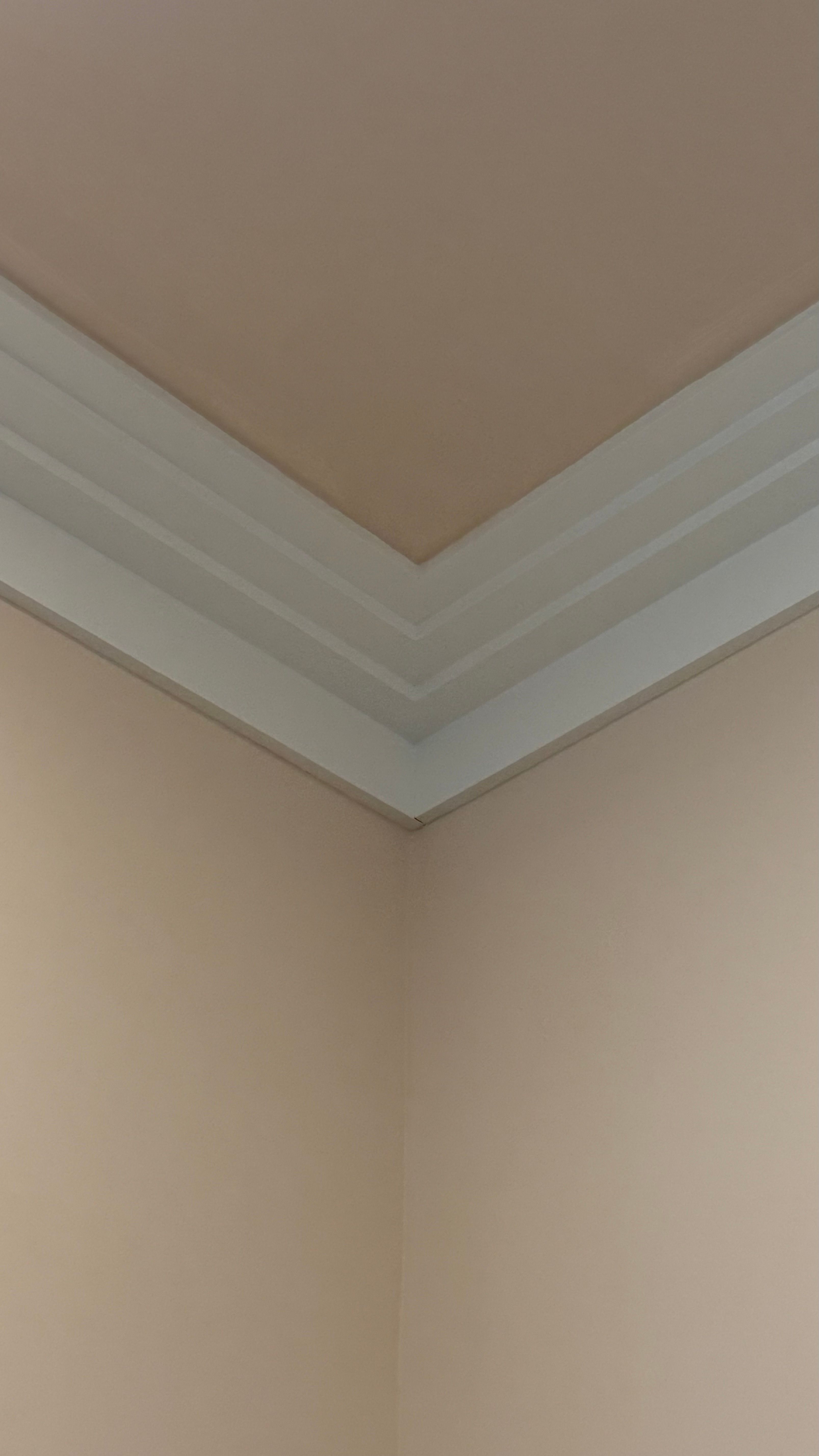  for Rich Construction Services in Parrish, FL