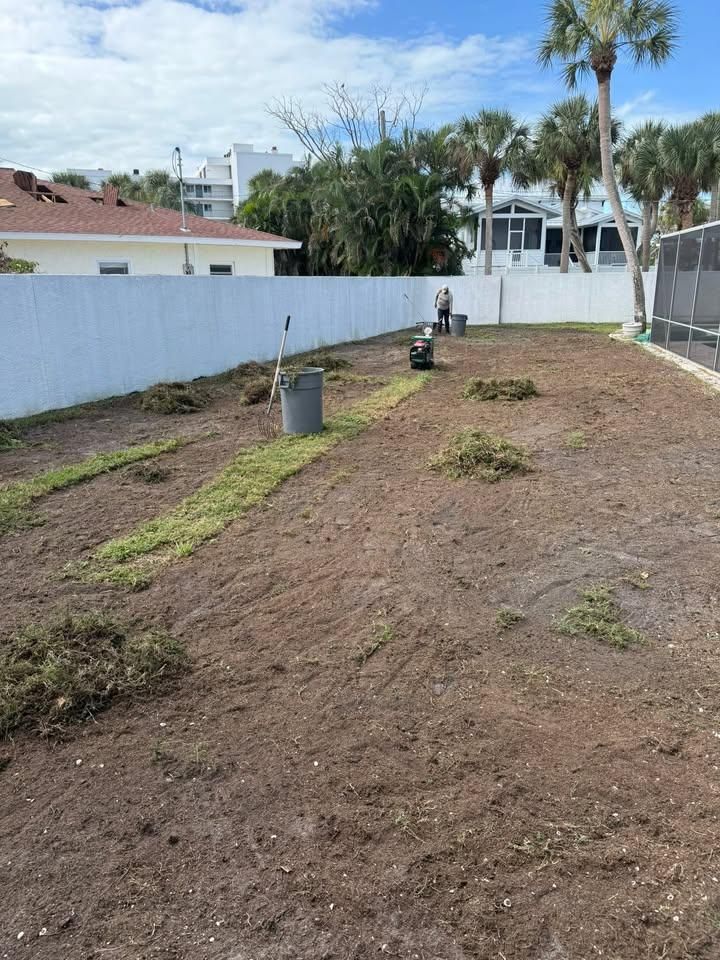  for Damian’s Tree Care in Sarasota, FL