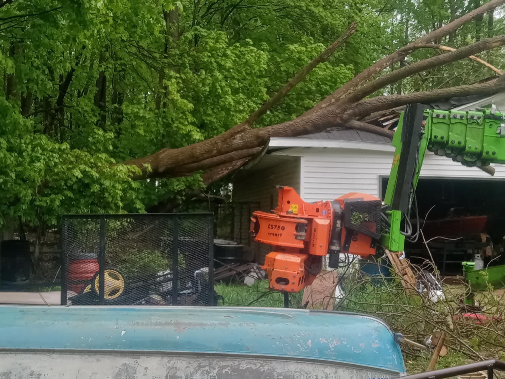  for Tree-B-Gone in Appleton, WI