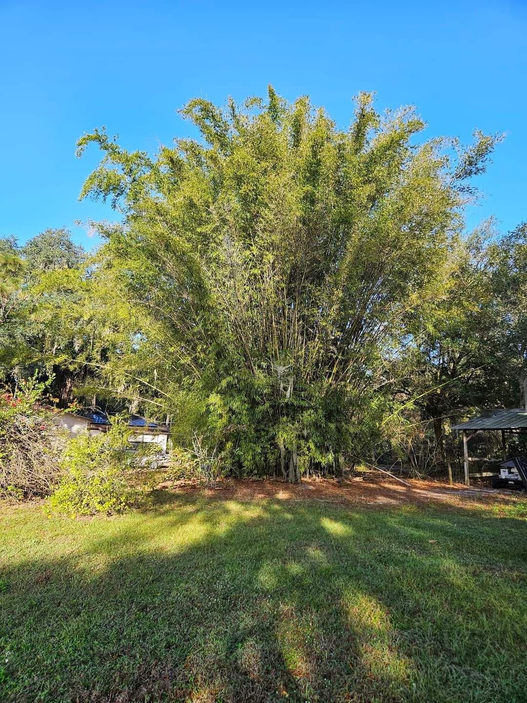 Excavating for Bay Area Bobcat in Riverview, FL