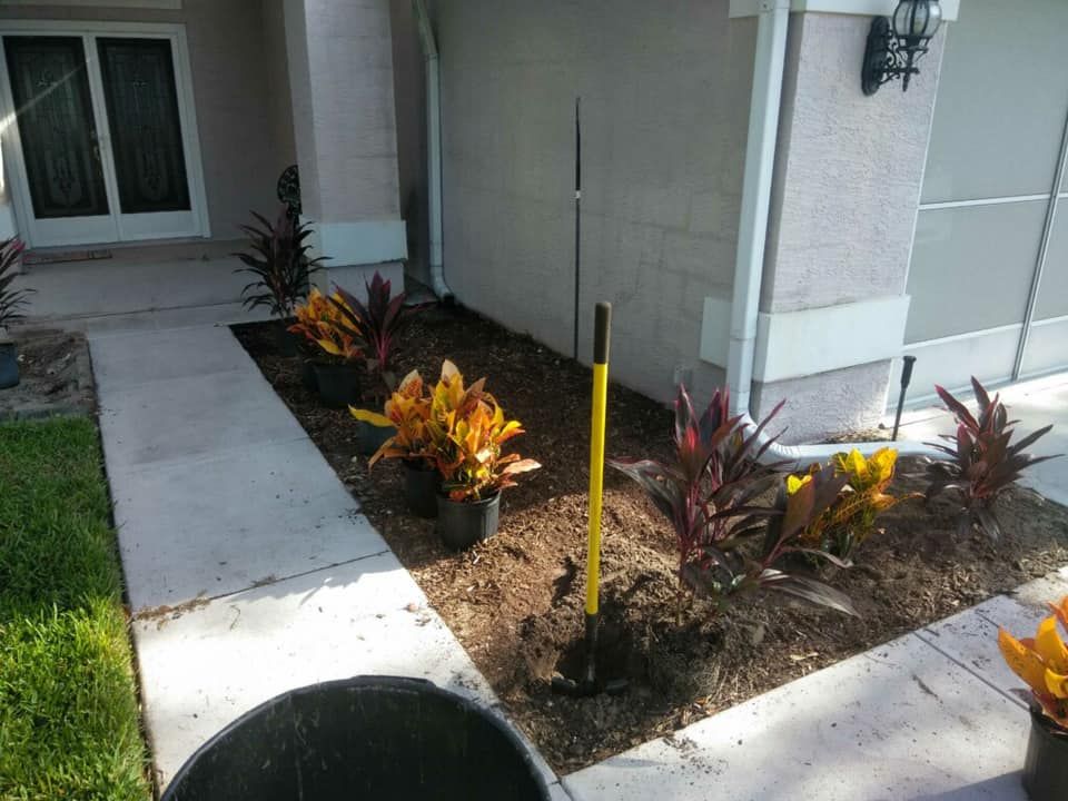  for Genesis Landscape Services in Spring Hill, FL