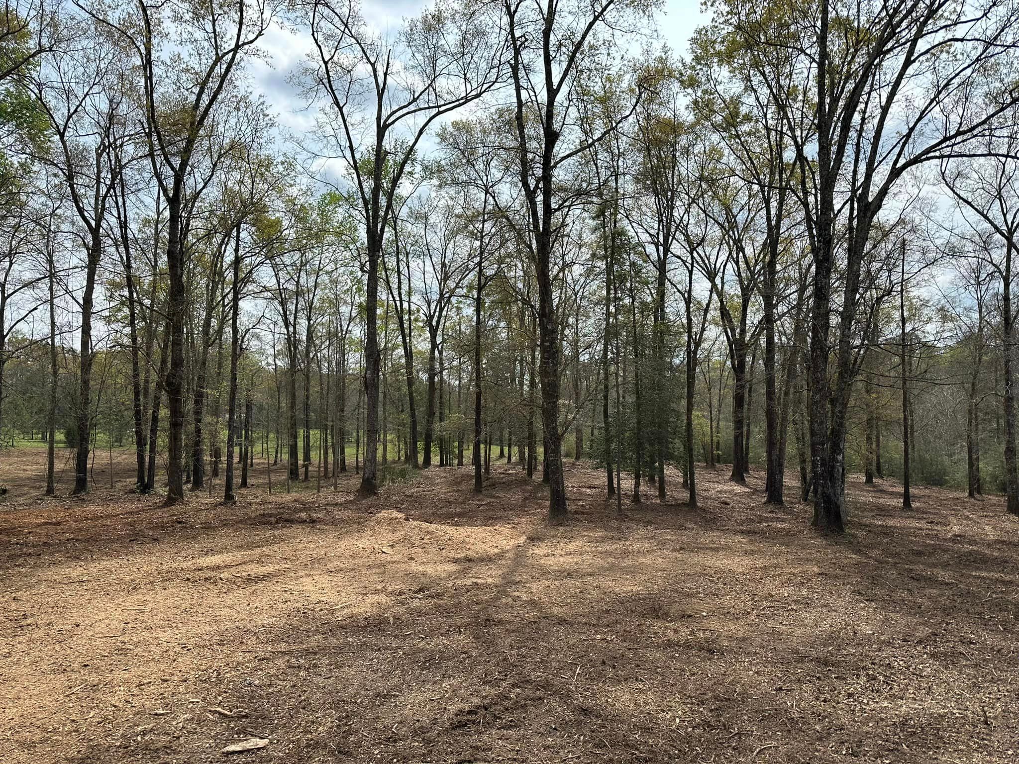 All Photos for White’s Land Maintenance in Milton,, FL