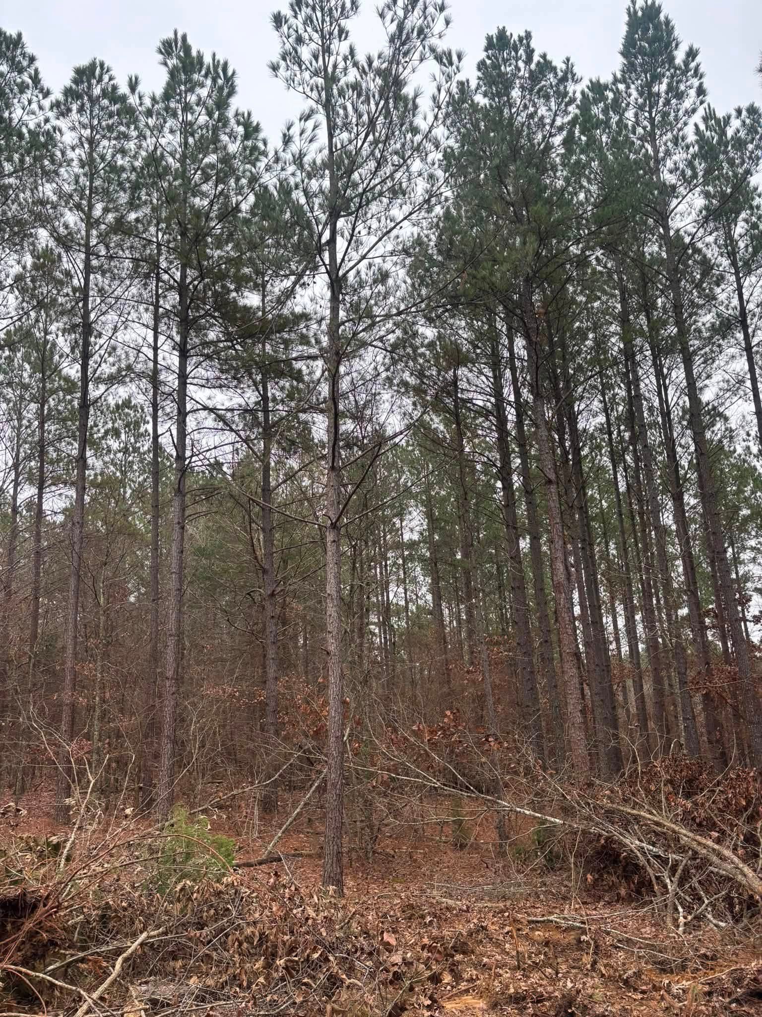  for Ross Excavation & Land Development in Middleton, TN