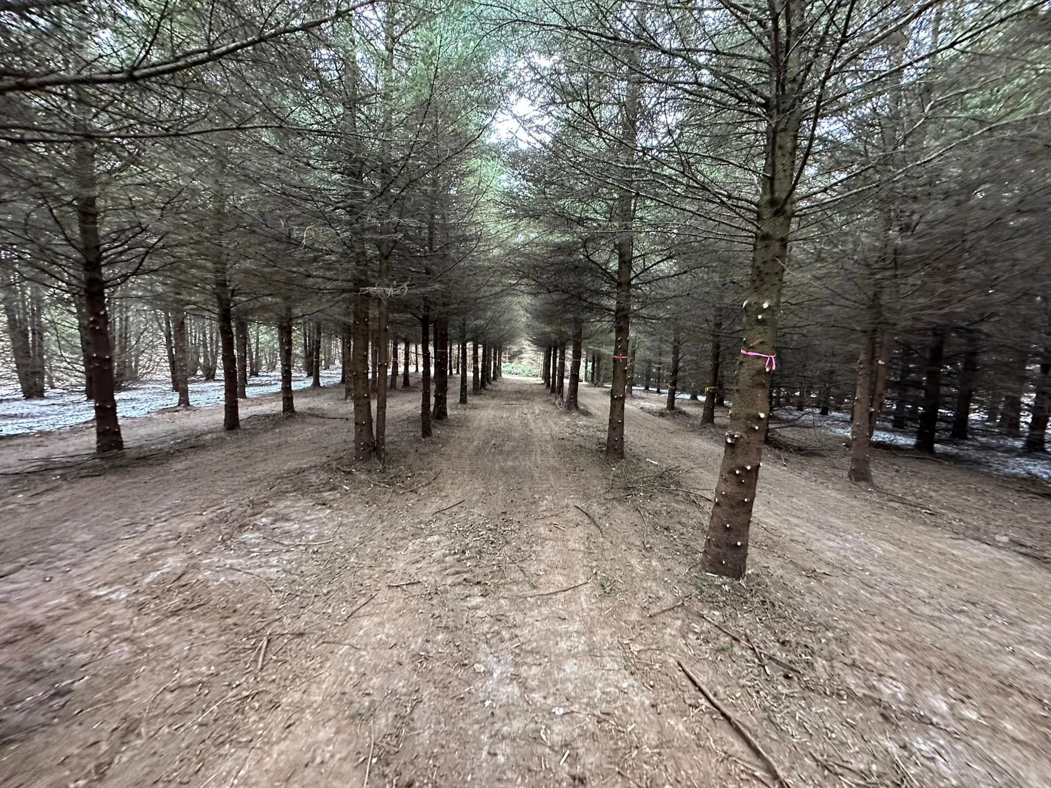  for 608 Earthworks in Marshall, WI