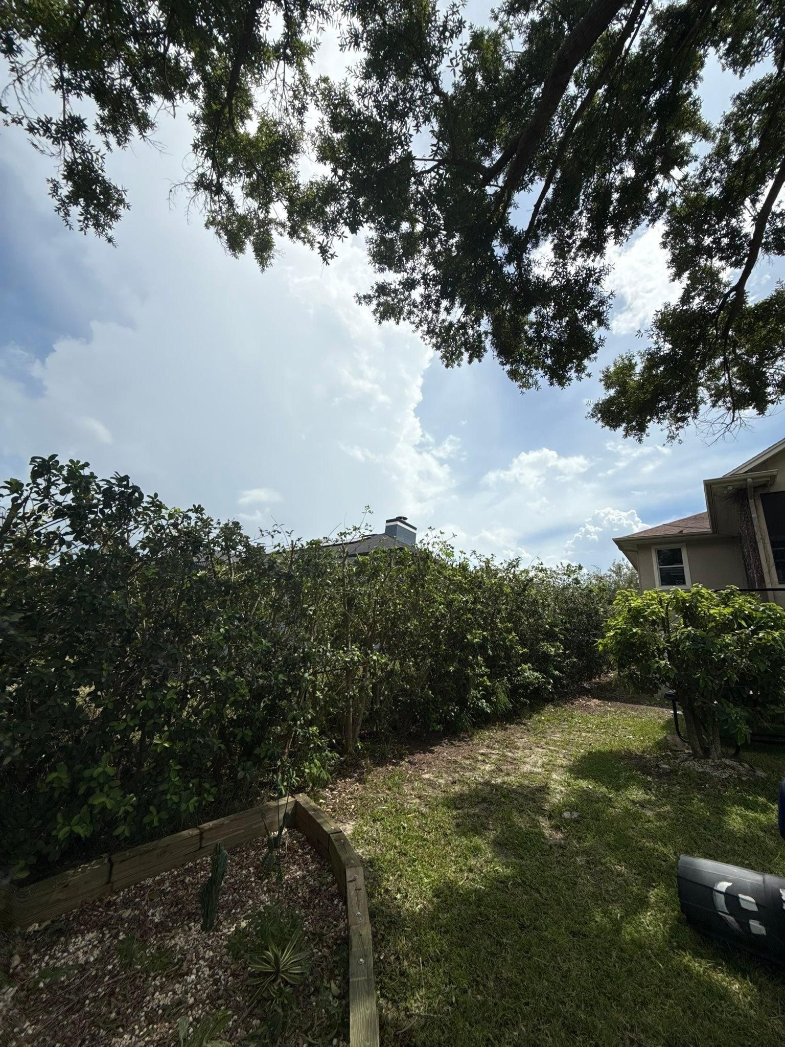  for New Era Lawn Care & Landscaping in Lakeland,  FL