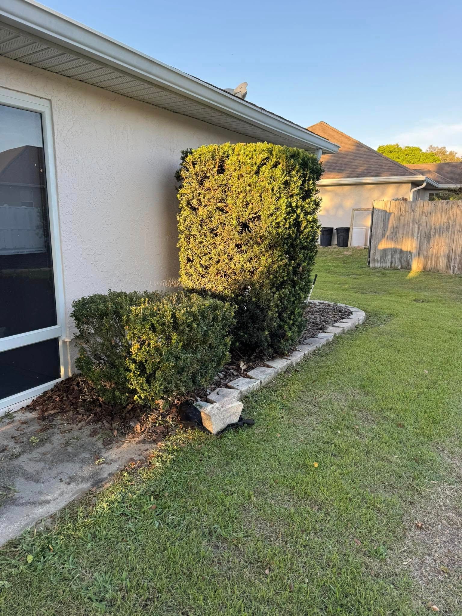 All Photos for Young's Lawn Services LLC in Ocala, FL