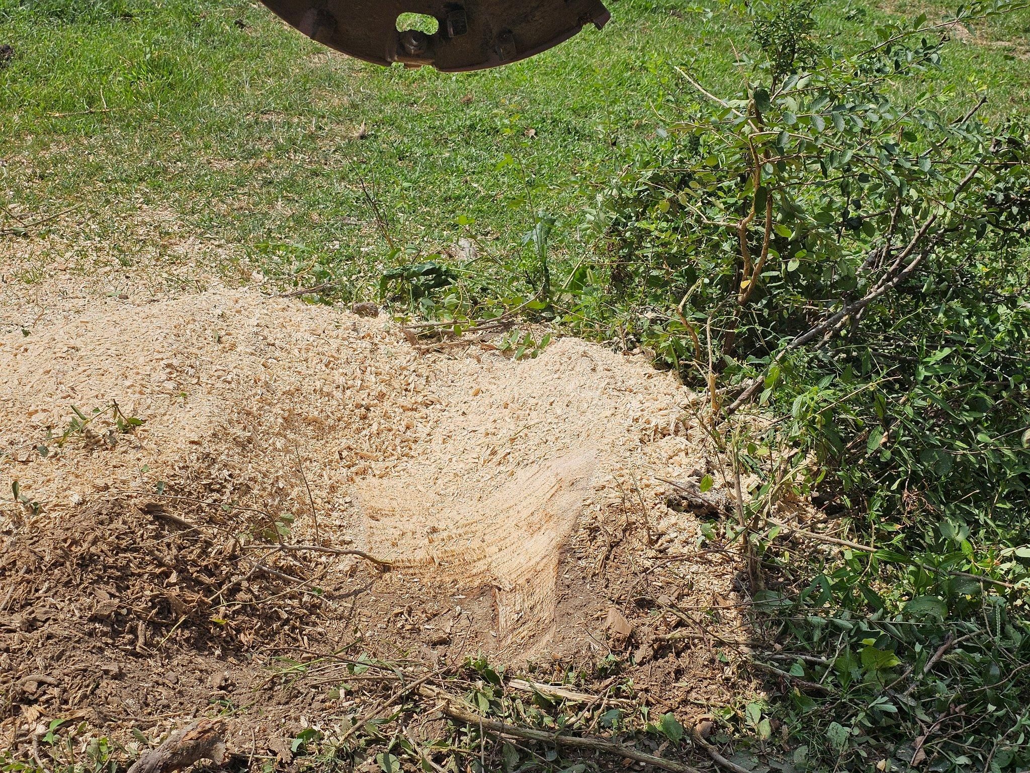  for I and R Stump Grinding in Thornville, OH