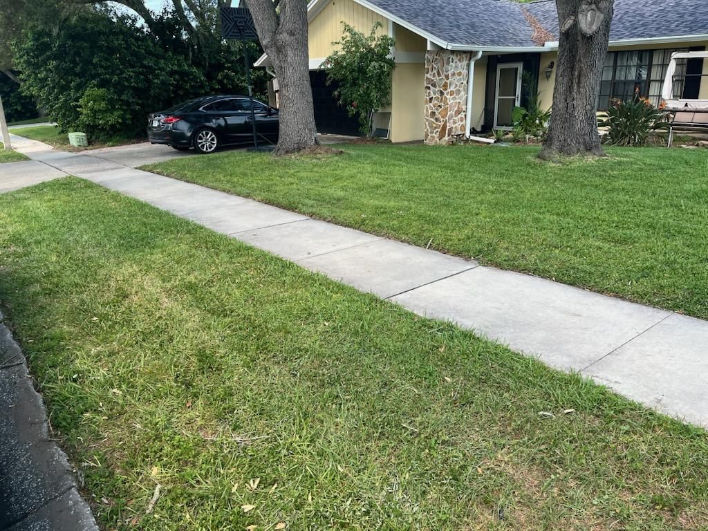  for Mitchell Lawn Service in Odessa, FL