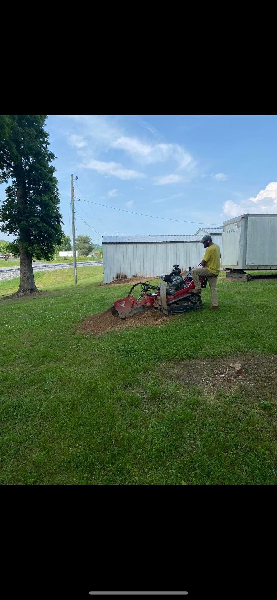 Fall and Spring Clean Up for Atwood’s Tree Care in Liberty,  KY