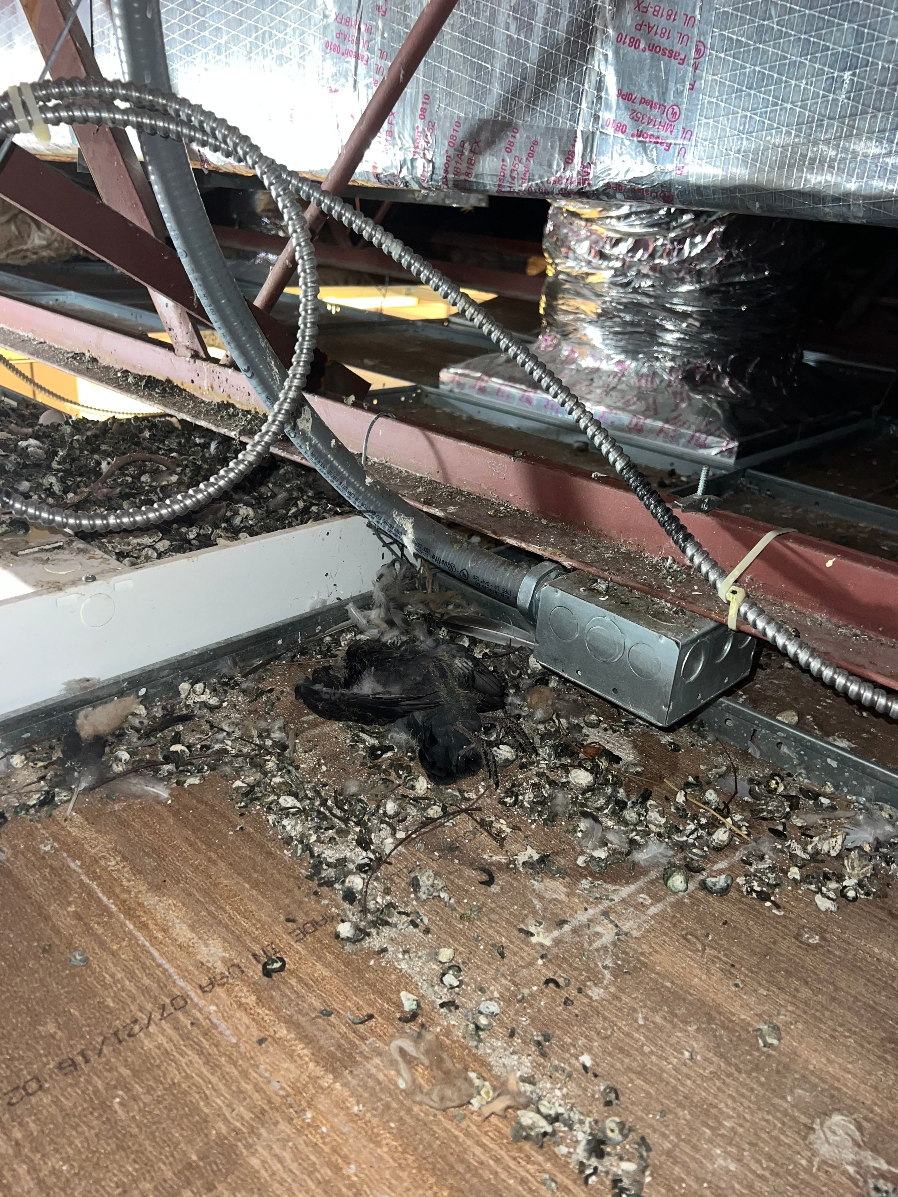  for N&D Restoration Services When Disaster Strikes, We Come In in Cape Coral,  FL