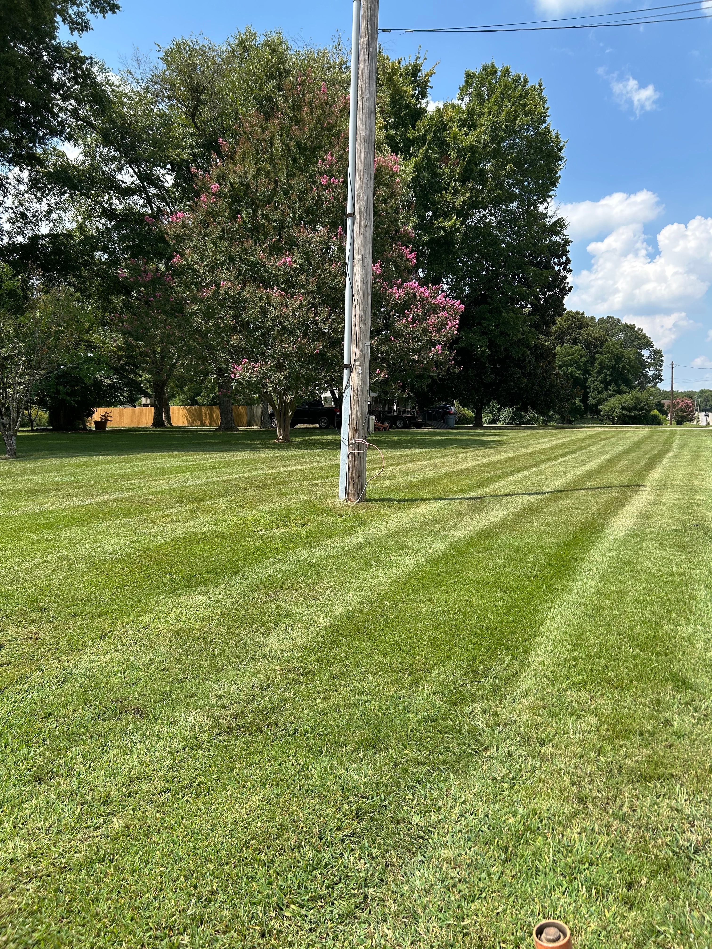 for Sanchez Z. Landscaping in Memphis, TN