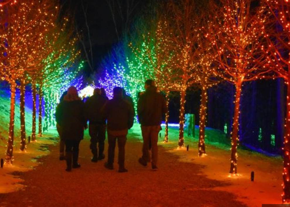  for Southern Lights  in Knoxville, TN