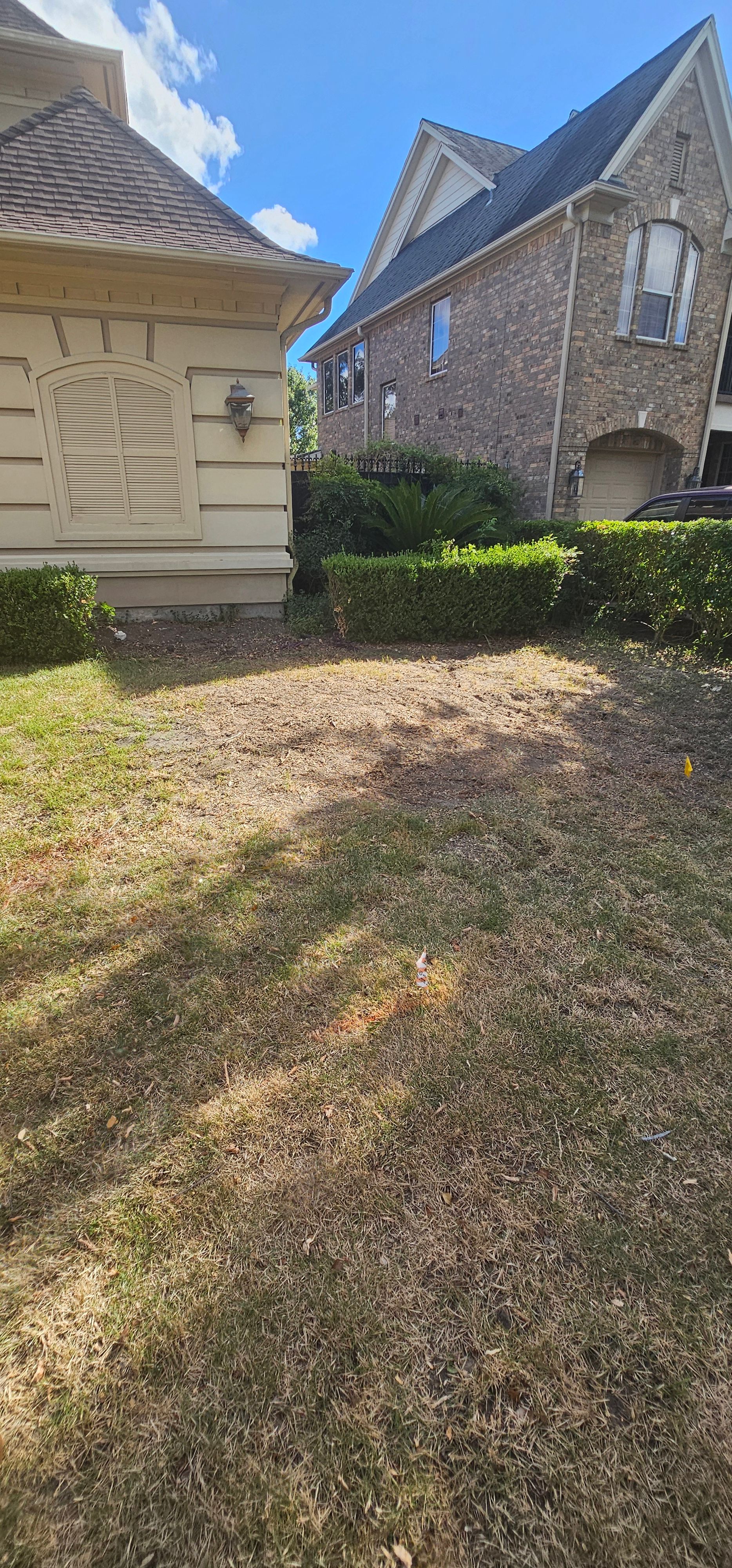  for Servin's Tree Care  in Houston, TX