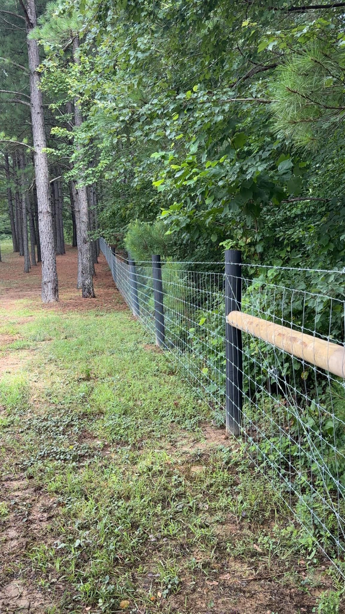  for Ap’s Fencing in McMinnville, TN