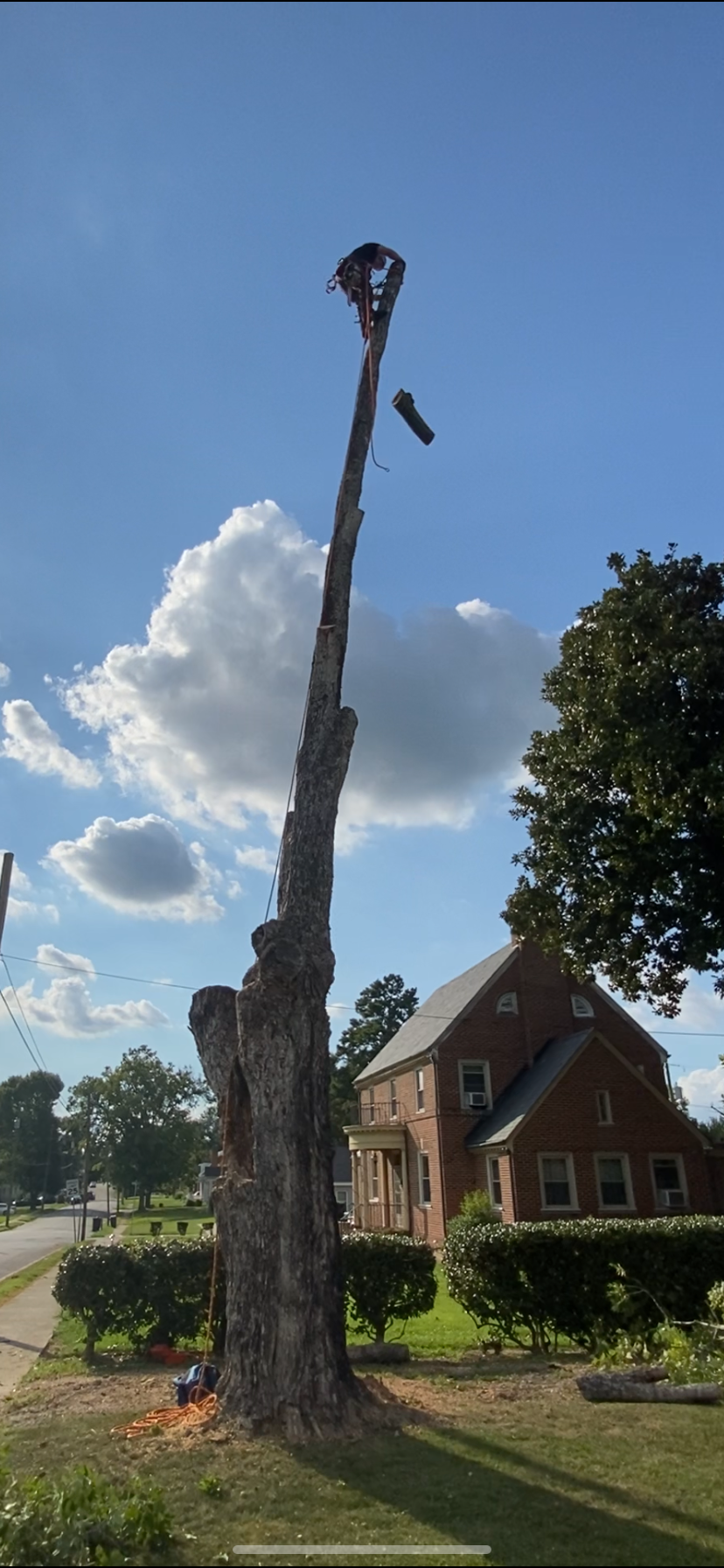  for Ascending Tree Service LLC in Kenbridge, VA