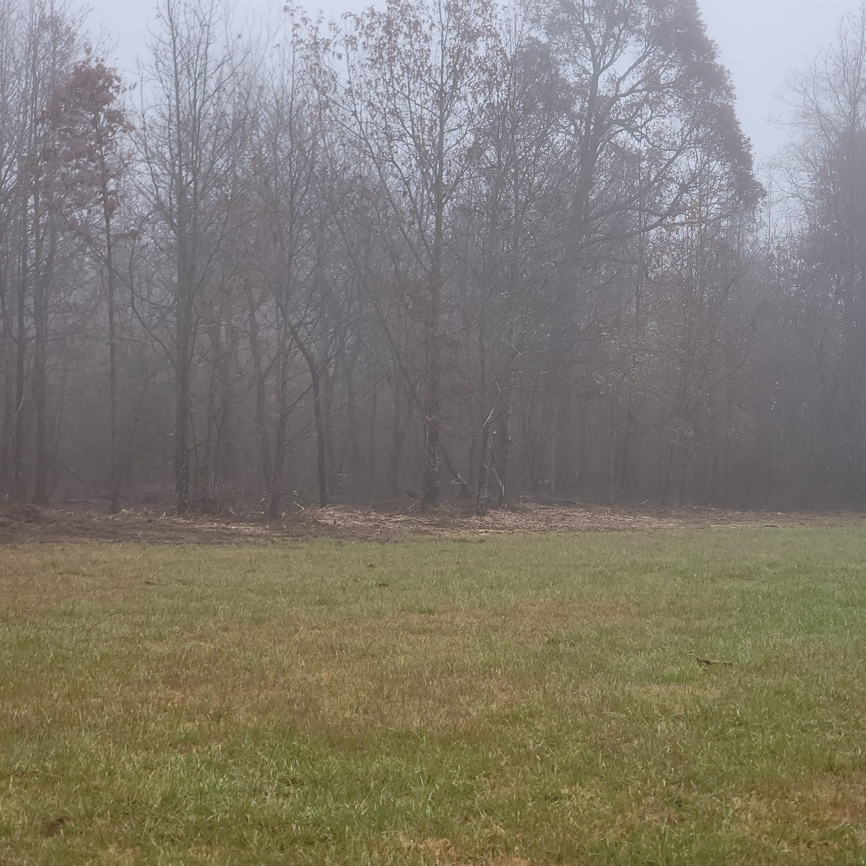  for Z's Land Management & Forestry Mulching in Smithville, TN