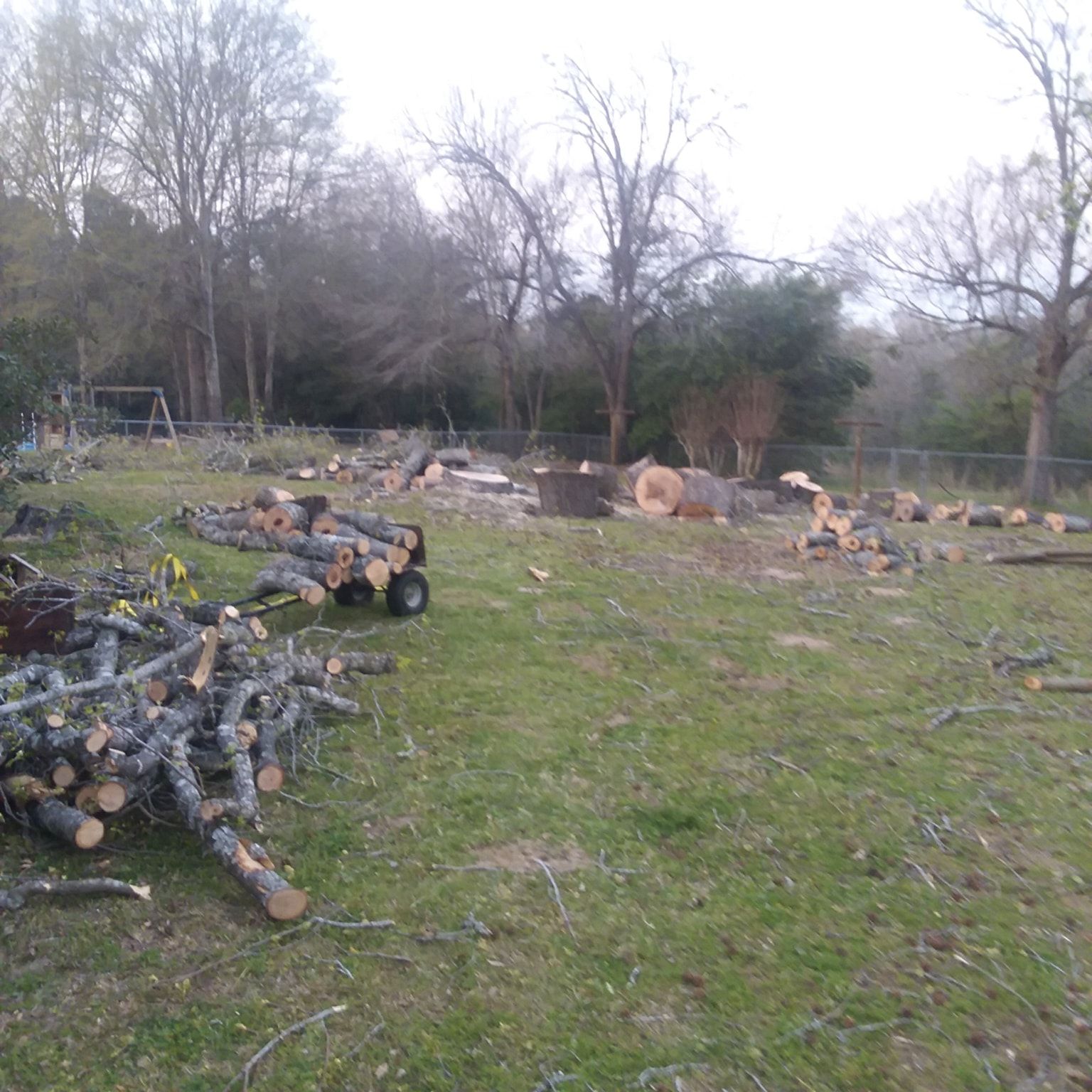 All Photos for Leon Landscaping & Tree Service in Palestine, TX
