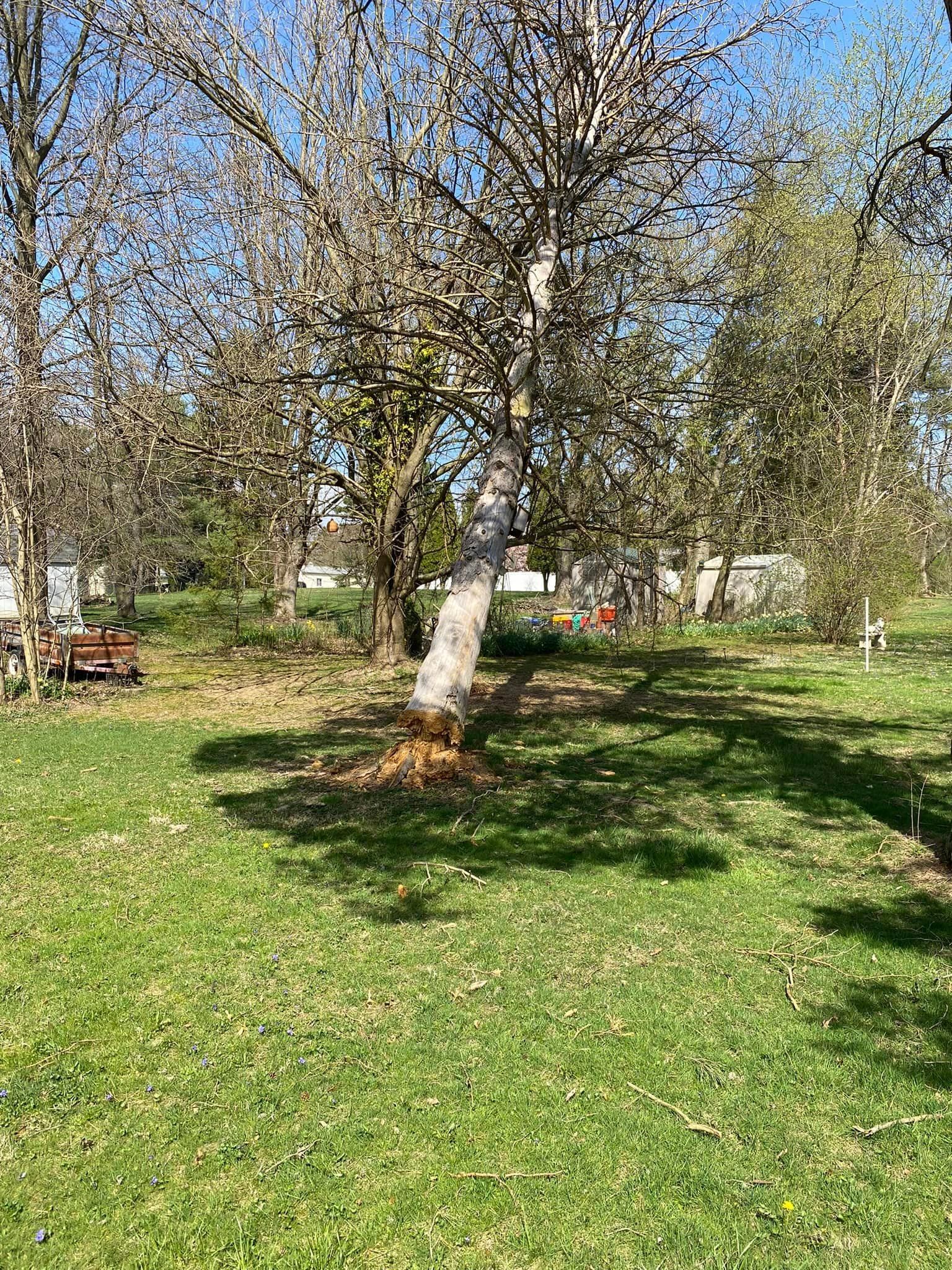  for Jenkins Landscaping & Property Management LLC in Clinton, OH