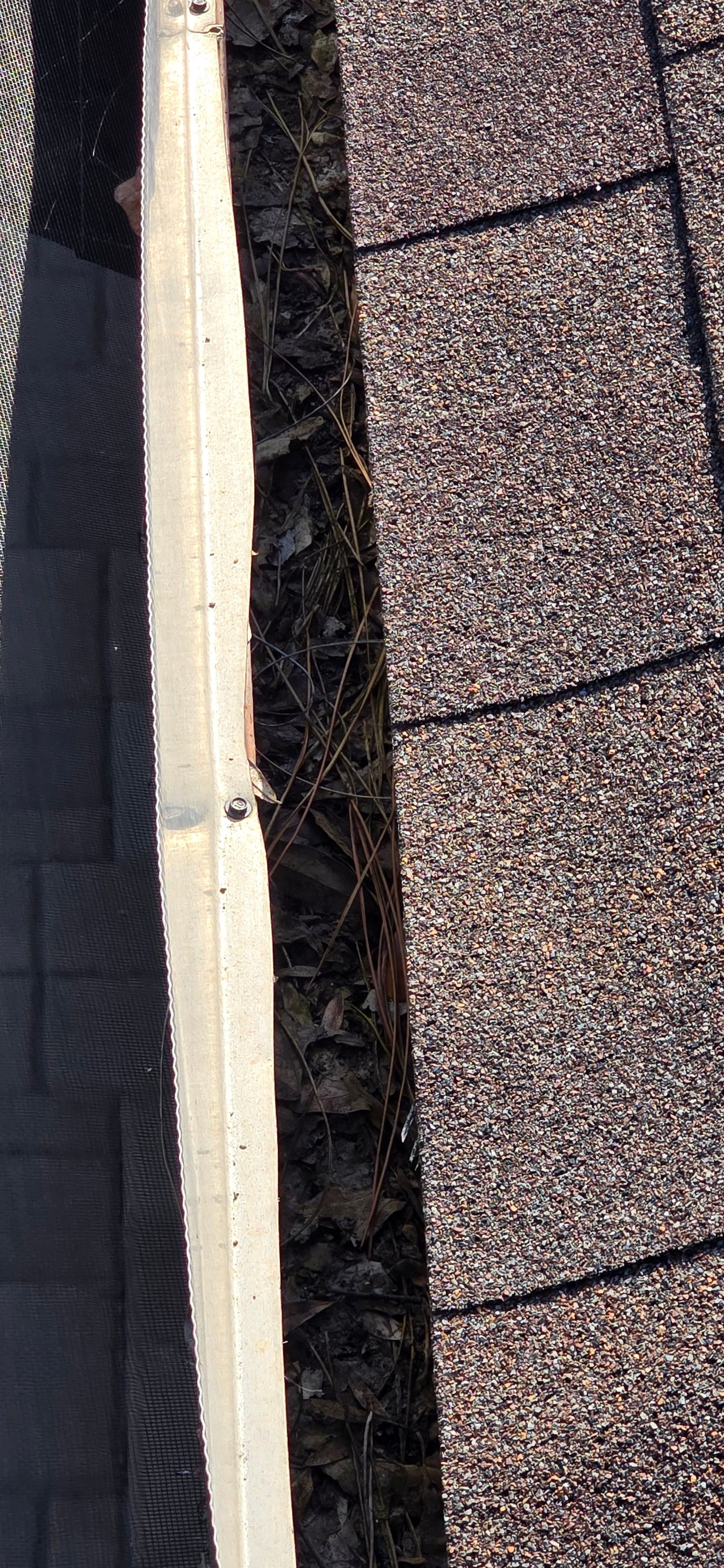  for Blue Stream Roof Cleaning & Pressure Washing in Tampa, FL