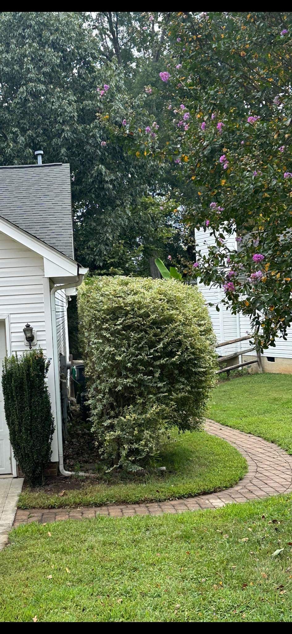 for Stem Tree Service in Belmont, NC