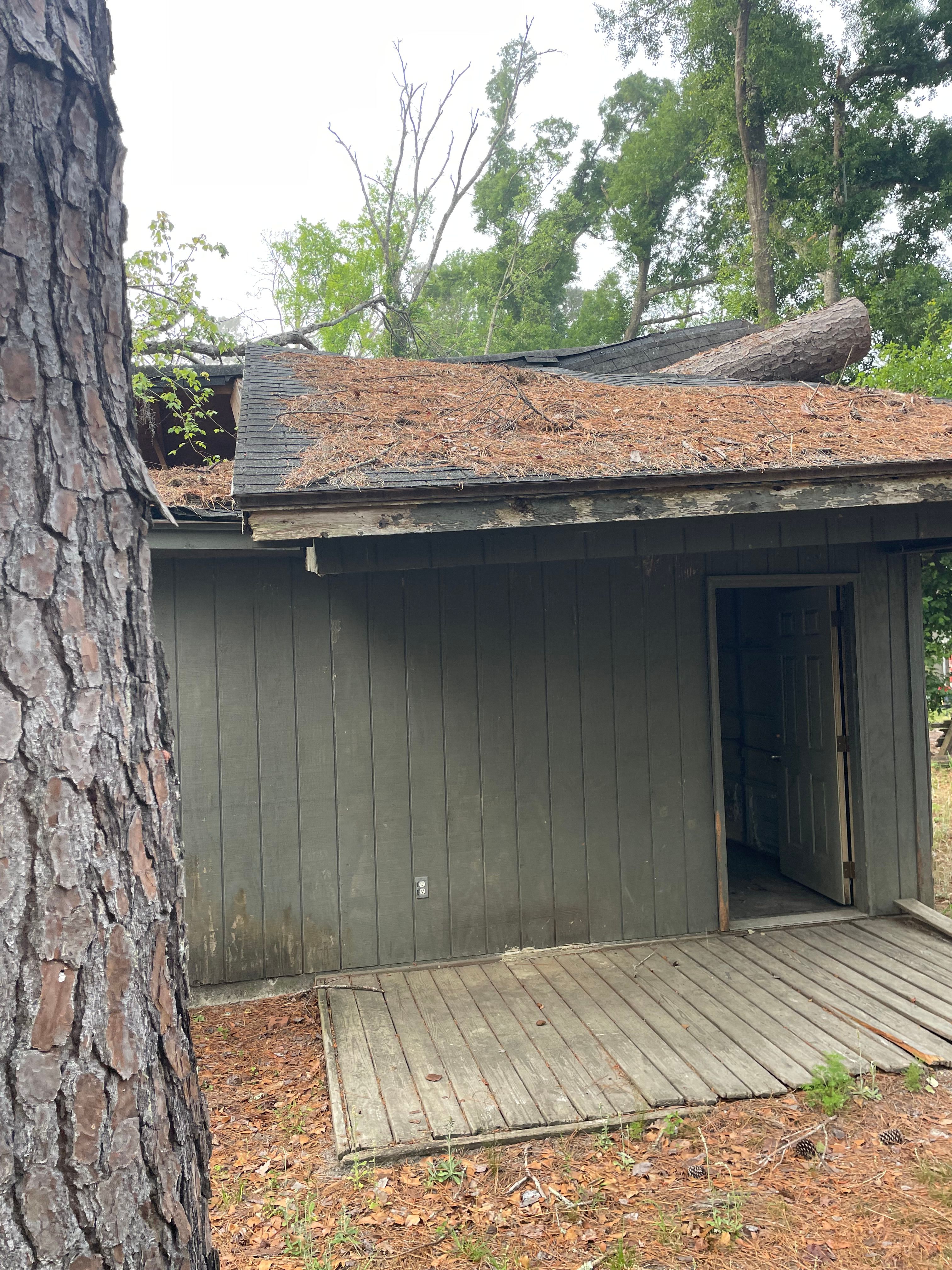 All Photos for Ewc Land Clearing and more in Lake Park, GA