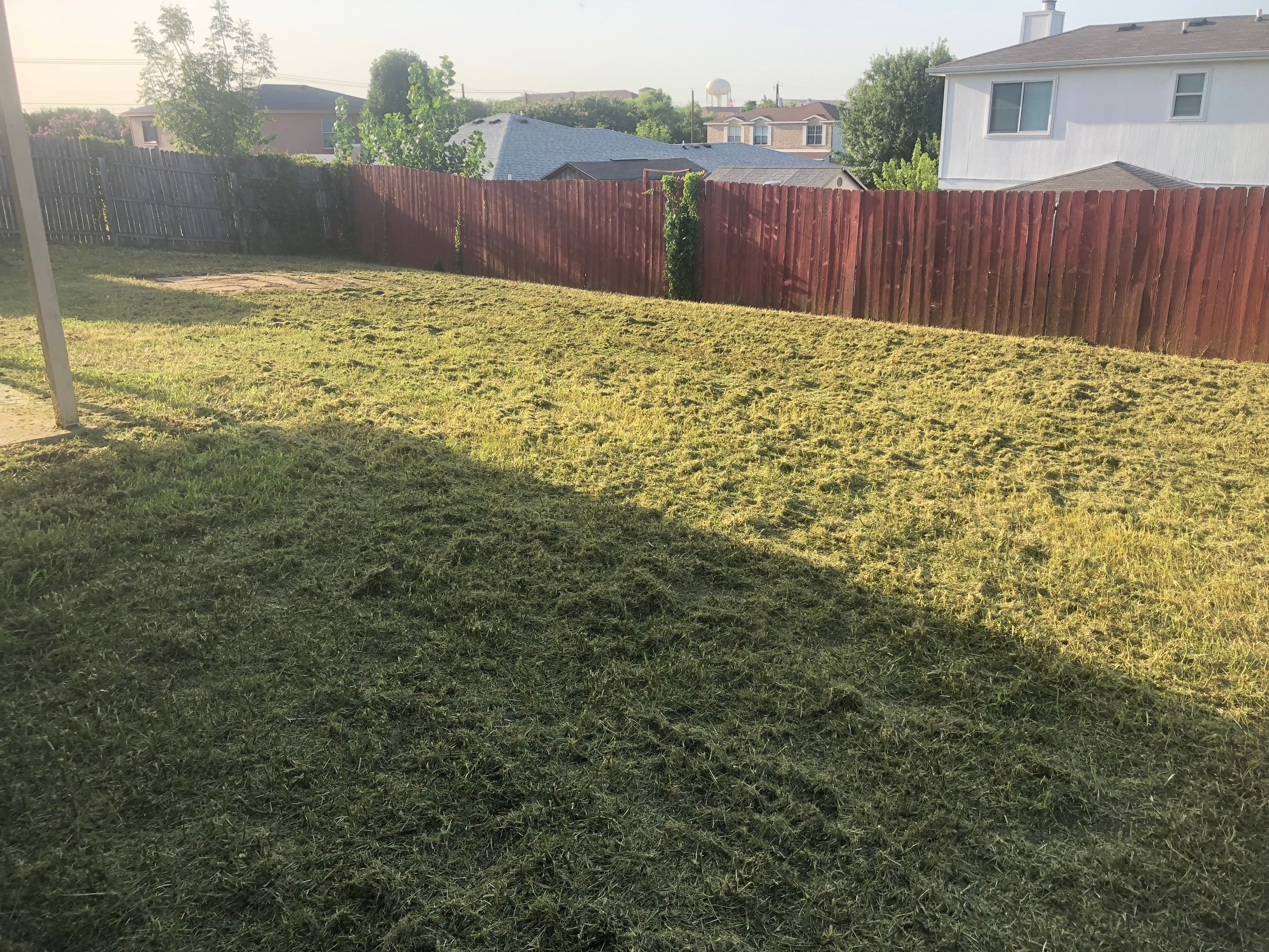  for D’s Lawncare in Killeen, TX