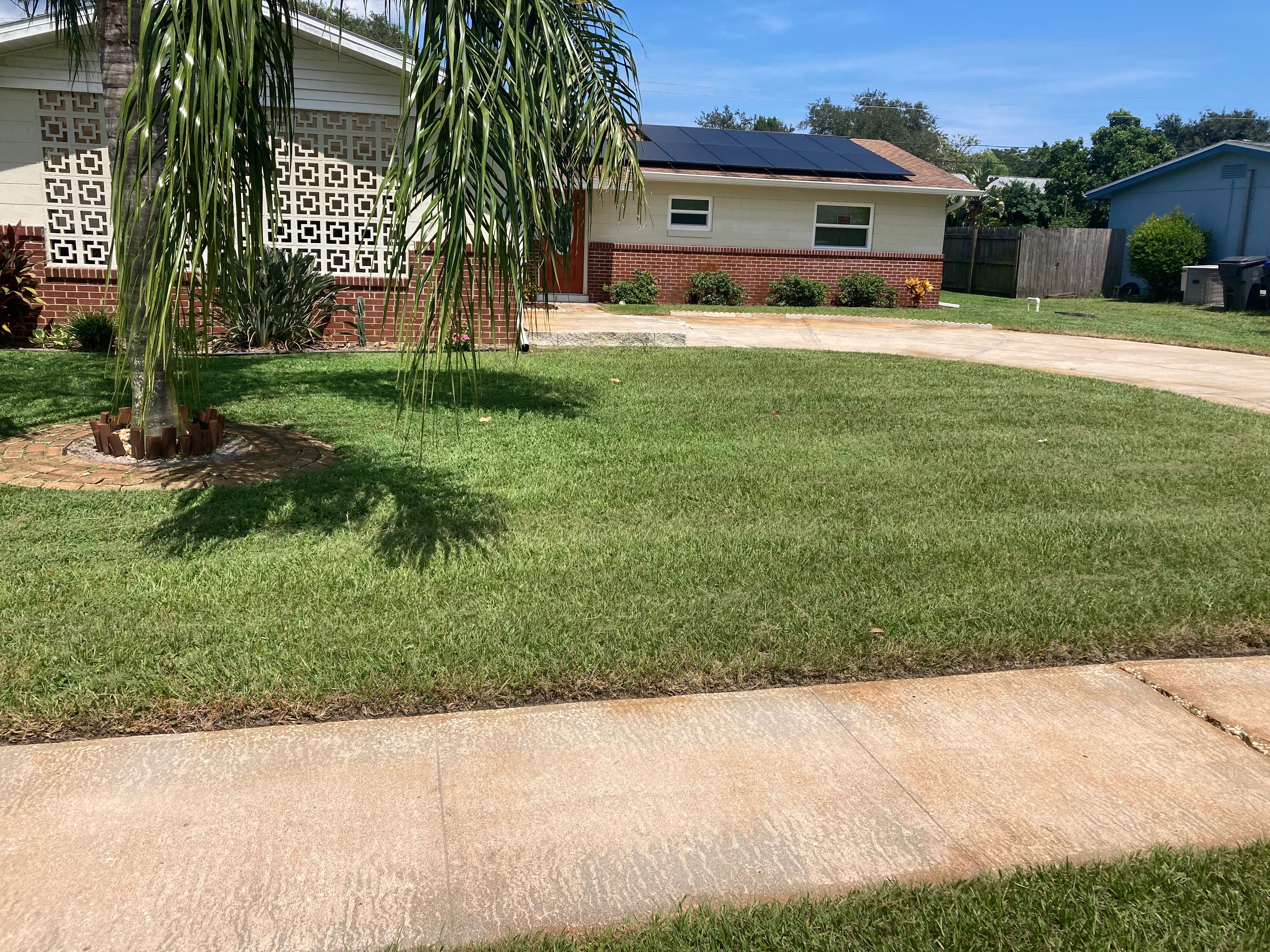 All Photos for Impressive Lawns 321 LLC in Titusville, FL